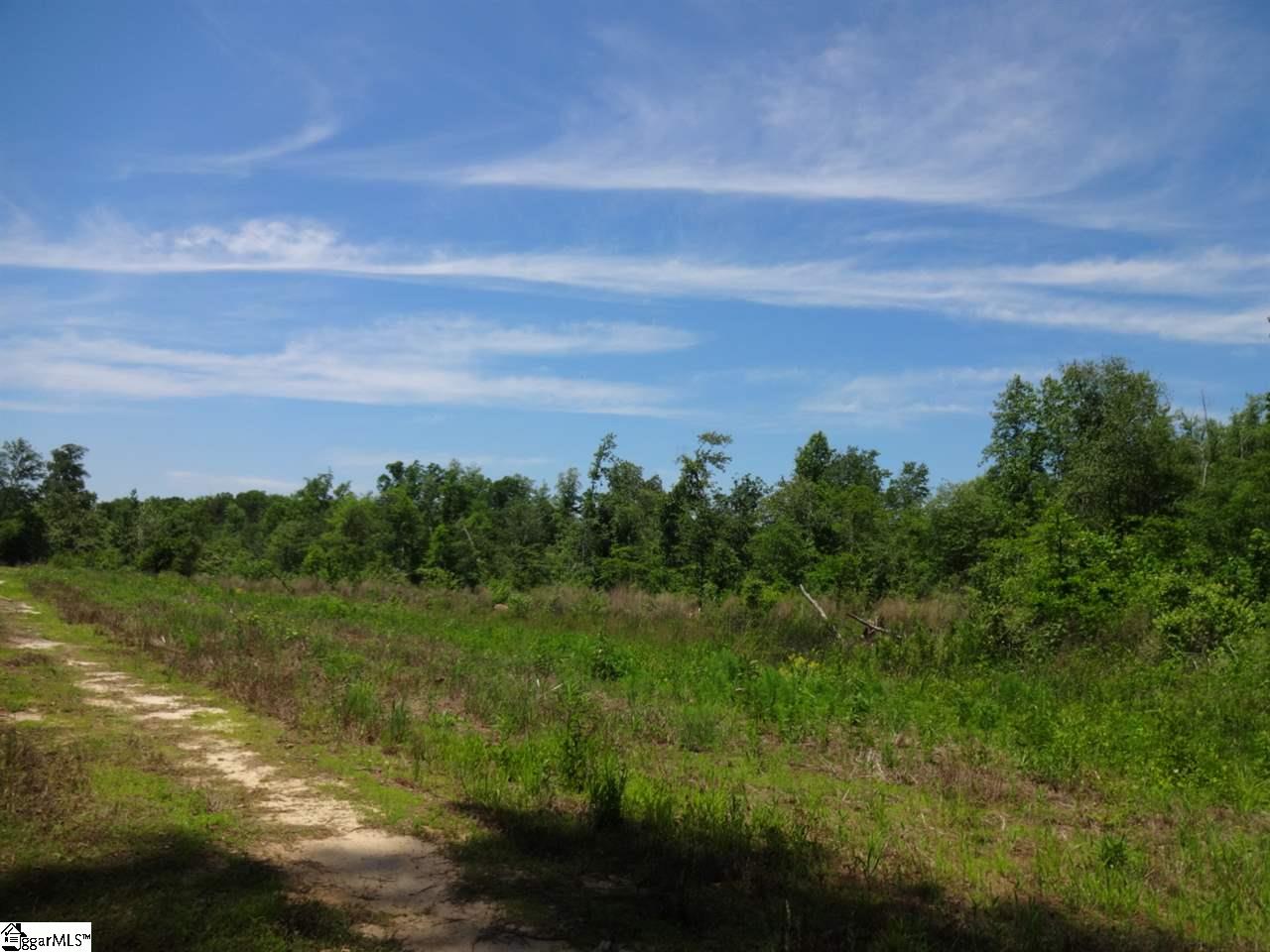 Spearman Road Pelzer, SC 29669 - Photo 14 of 27