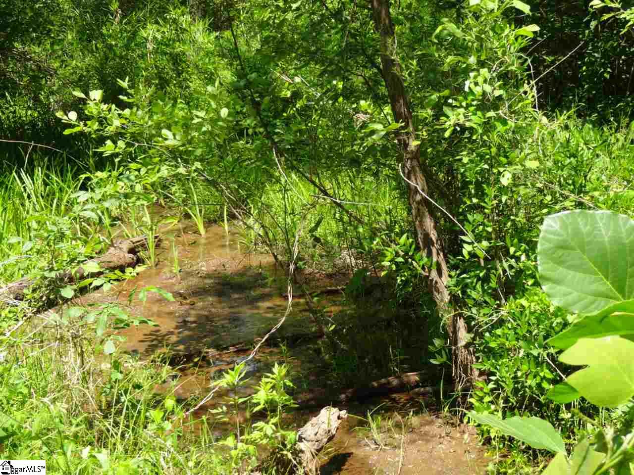 Spearman Road Pelzer, SC 29669 - Photo 15 of 27