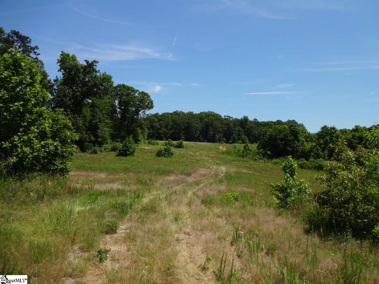 Spearman Road Pelzer, SC 29669 - Photo 17 of 27