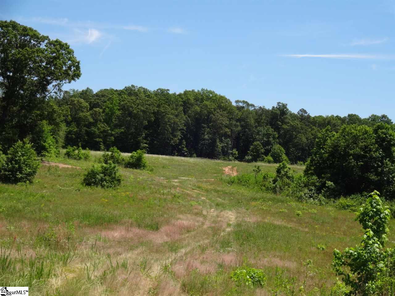 Spearman Road Pelzer, SC 29669 - Photo 18 of 27