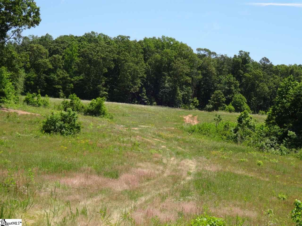 Spearman Road Pelzer, SC 29669 - Photo 19 of 27