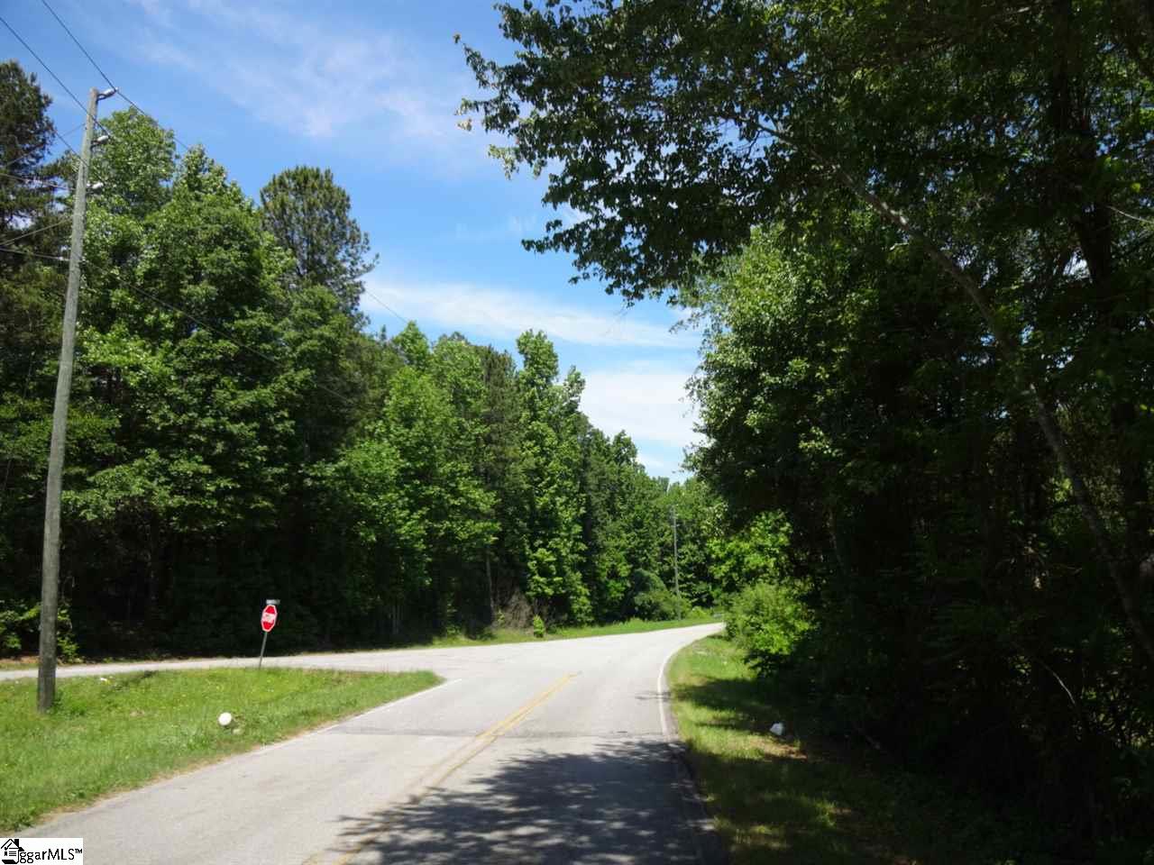 Spearman Road Pelzer, SC 29669 - Photo 3 of 27