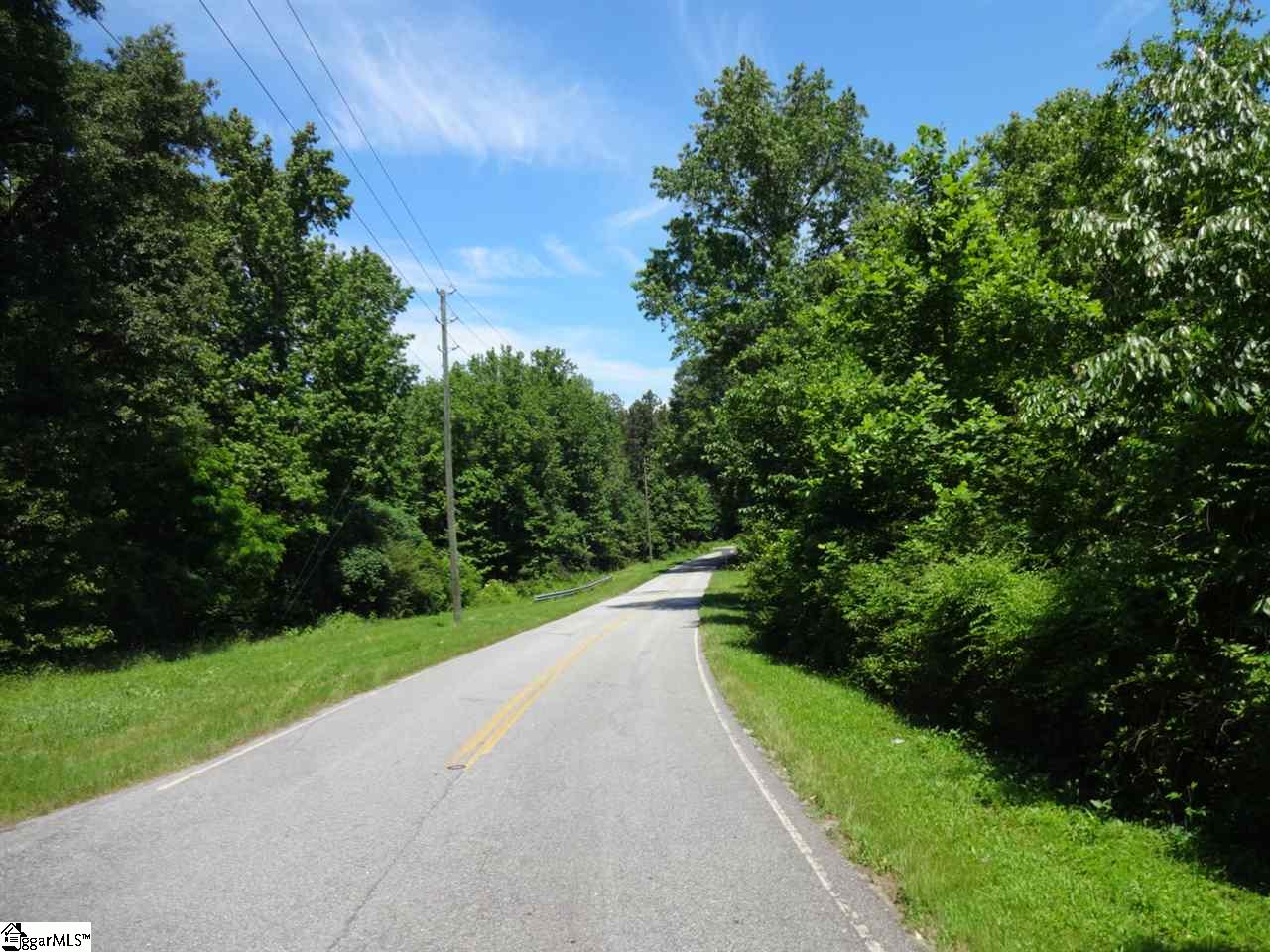 Spearman Road Pelzer, SC 29669 - Photo 4 of 27