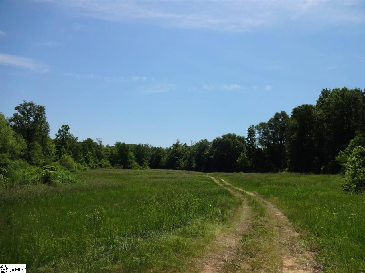 Spearman Road Pelzer, SC 29669 - Photo 5 of 27