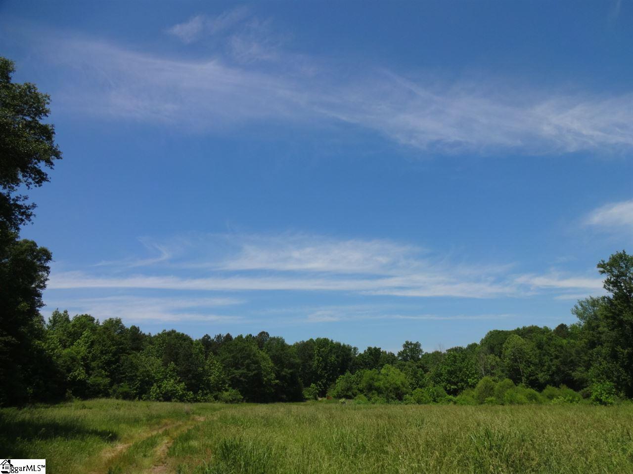 Spearman Road Pelzer, SC 29669 - Photo 6 of 27