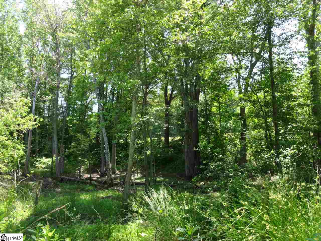 Spearman Road Pelzer, SC 29669 - Photo 8 of 27