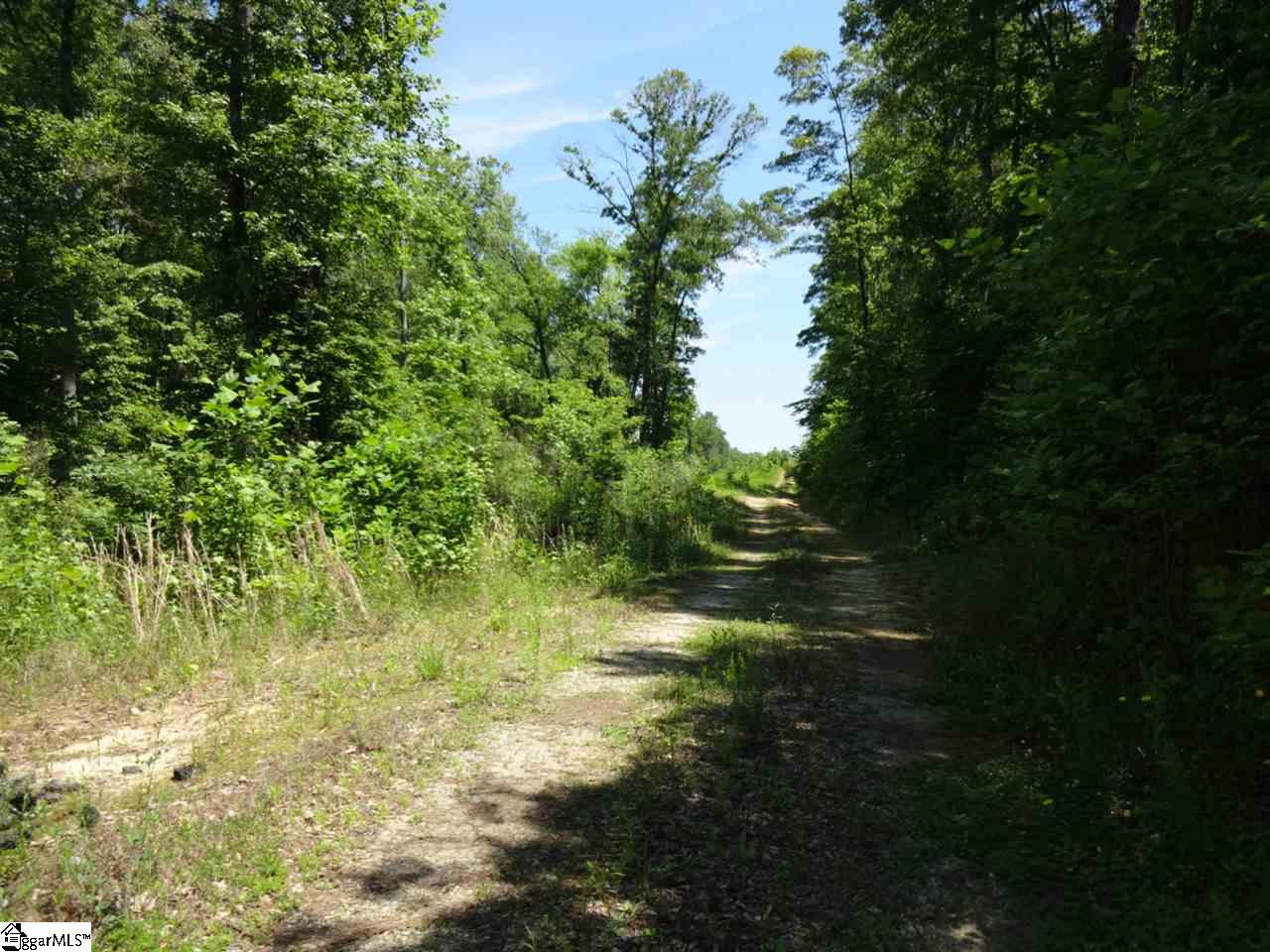 Spearman Road Pelzer, SC 29669 - Photo 9 of 27
