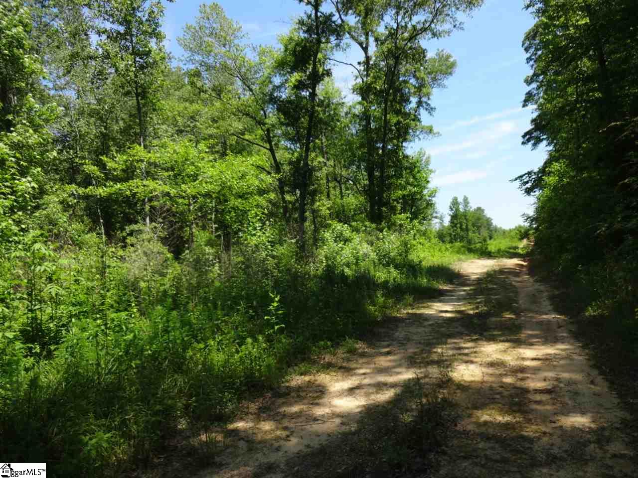 Spearman Road Pelzer, SC 29669 - Photo 10 of 27