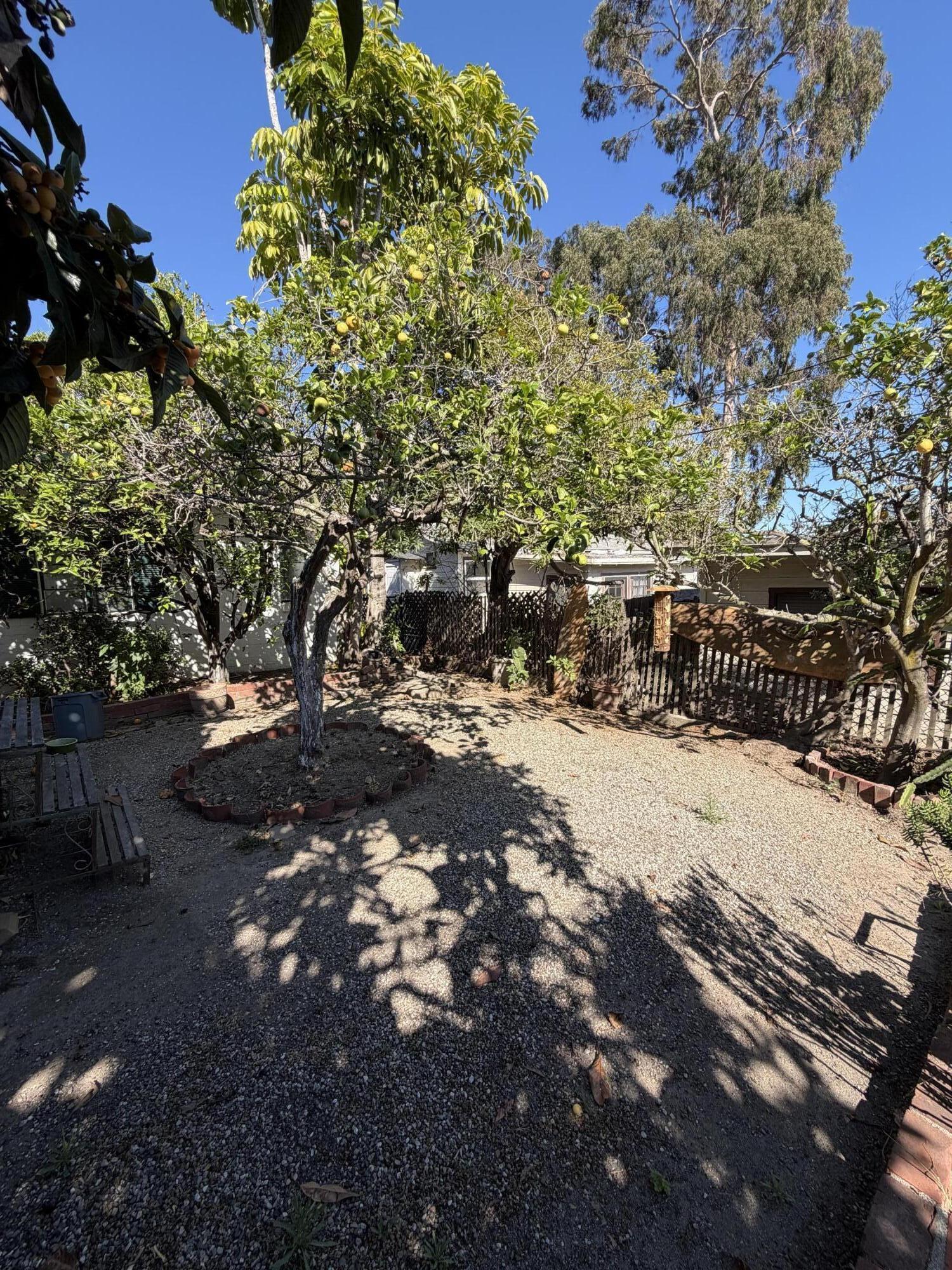 316 Oceano Avenue, Unit B Santa Barbara, CA 93109 - Photo 16 of 17 a view of a yard with some trees