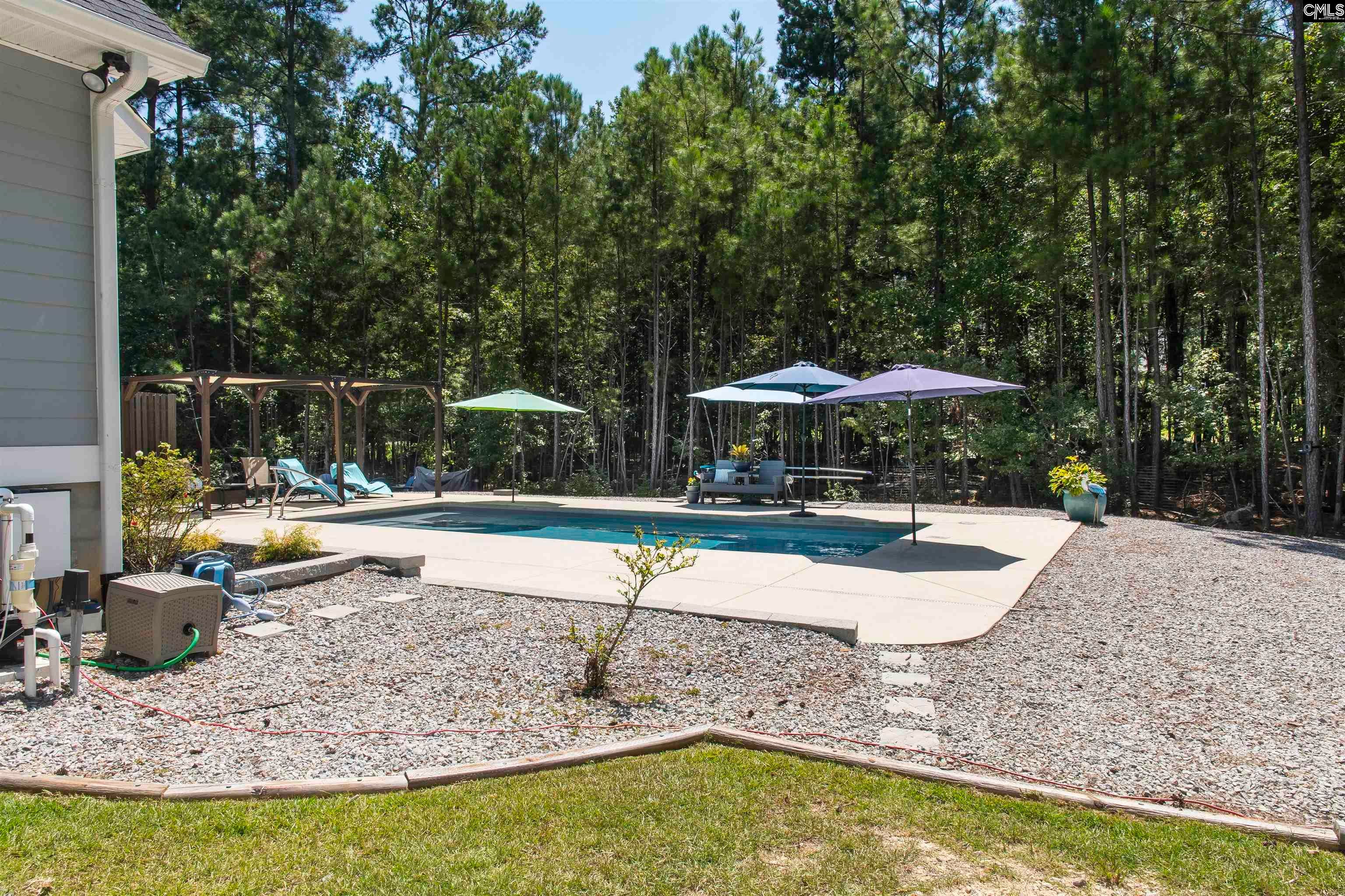 207 Jake Meetze Road Chapin, SC 29036 - Photo 48 of 52 Gallery Image 48