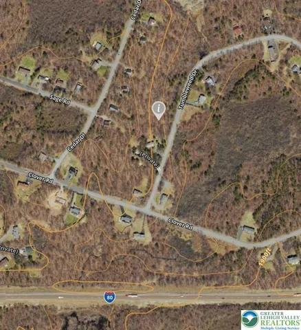 a view of a tree with white walls