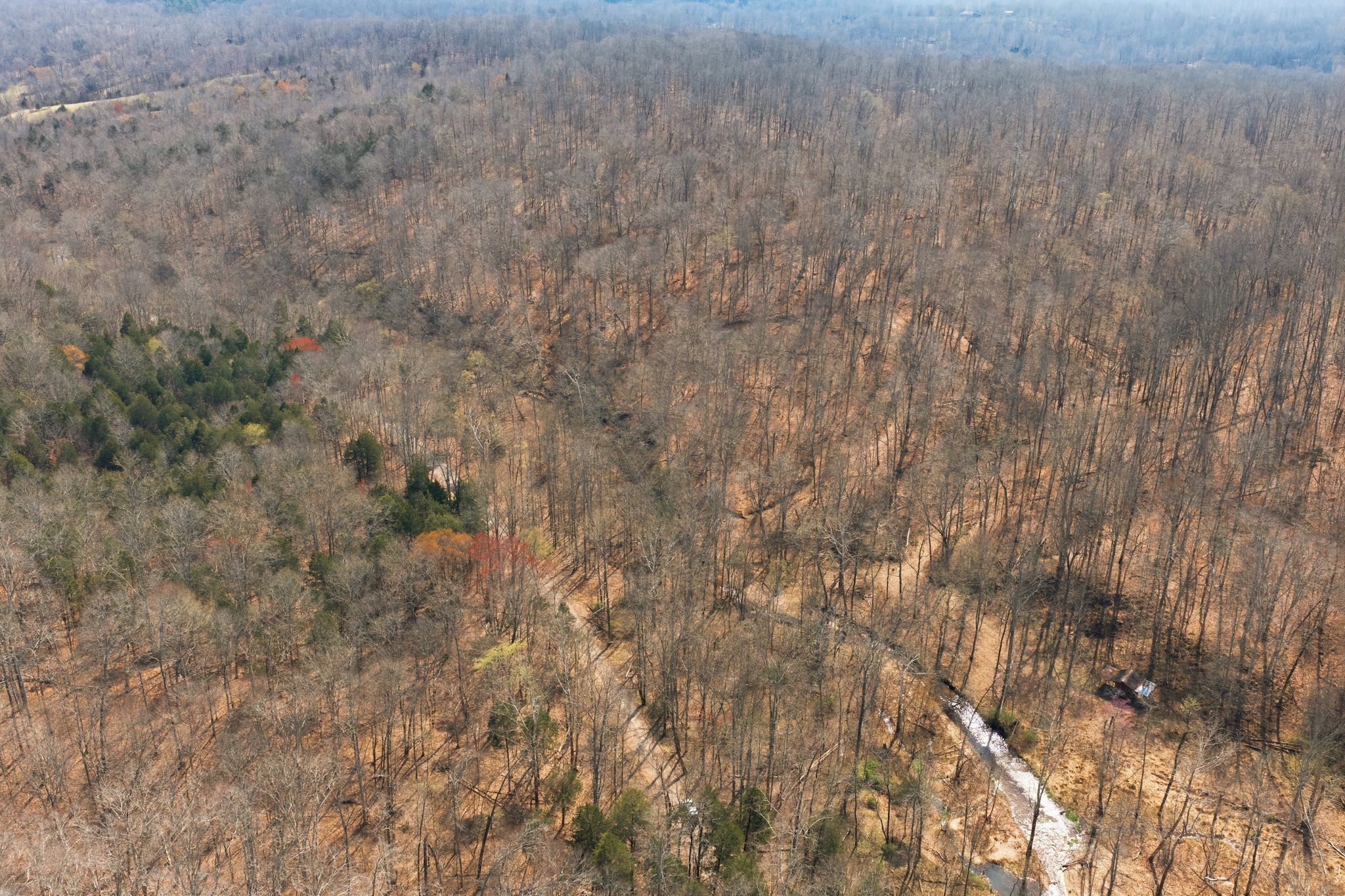 0 Cave Branch Road Dickson, TN 37055 - Photo 11 of 27