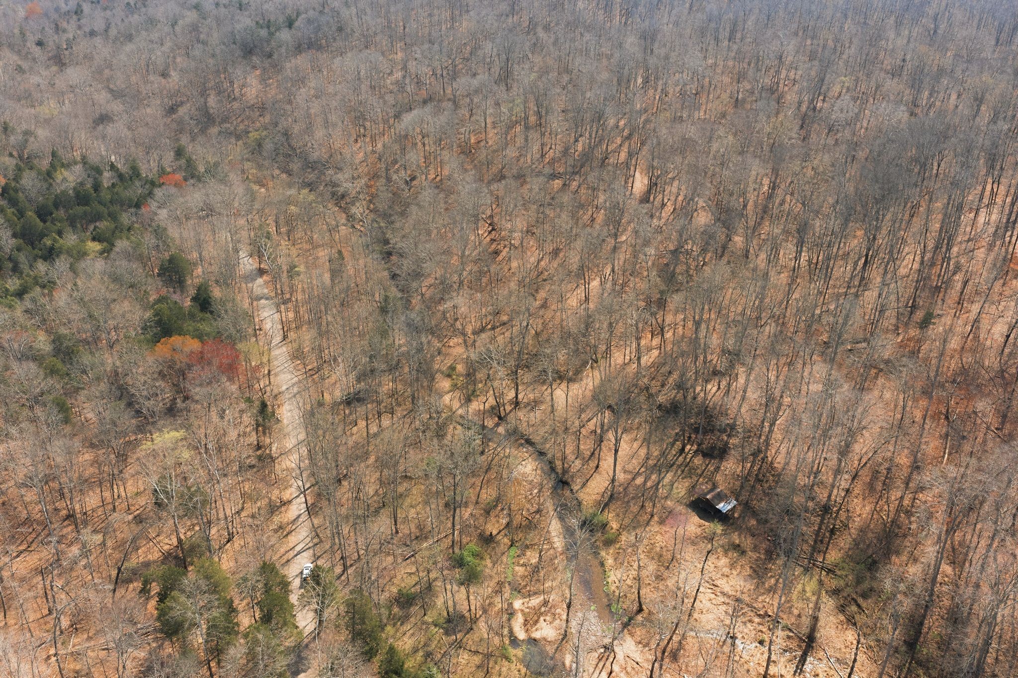 0 Cave Branch Road Dickson, TN 37055 - Photo 12 of 27