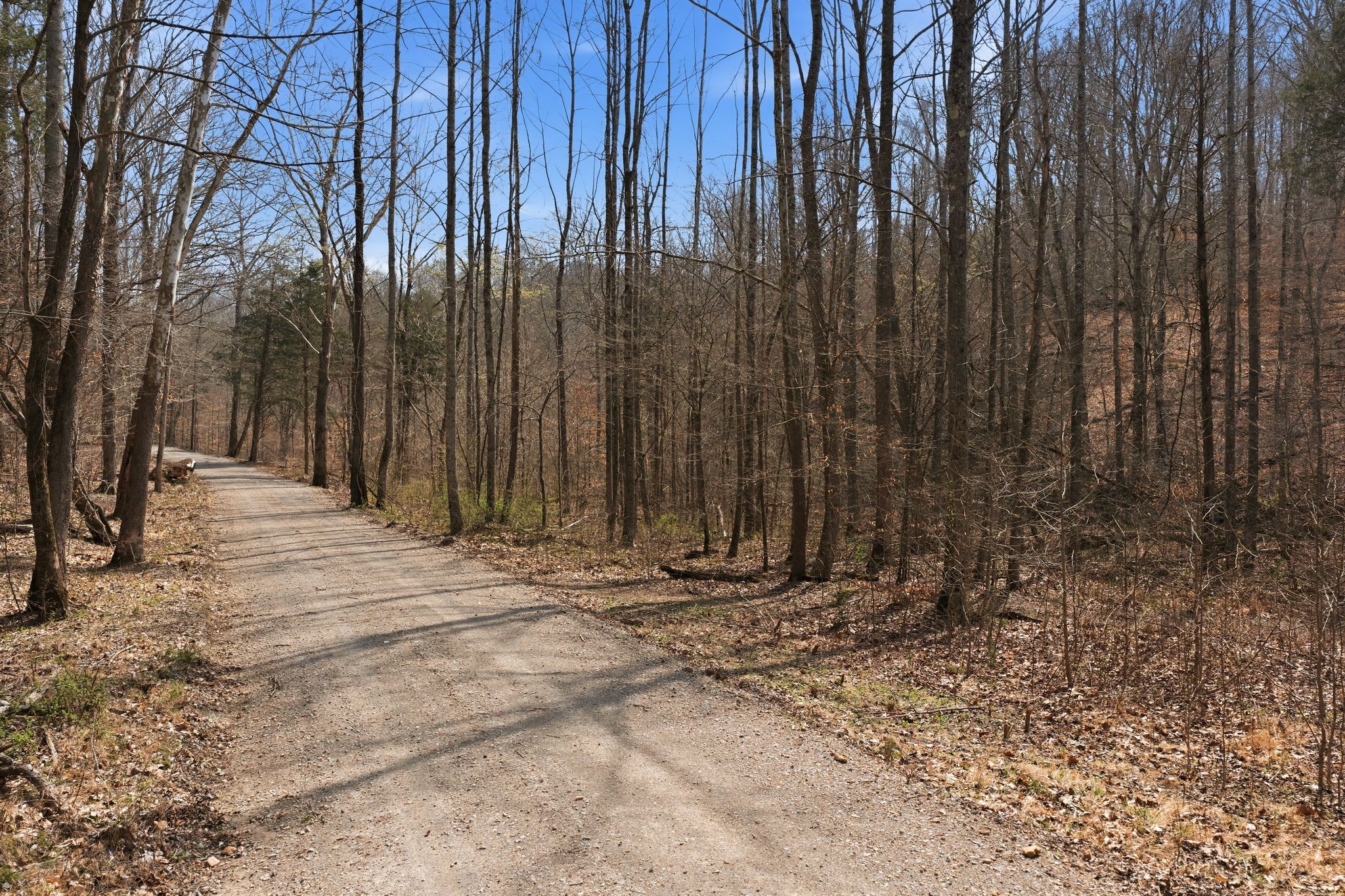 0 Cave Branch Road Dickson, TN 37055 - Photo 13 of 27