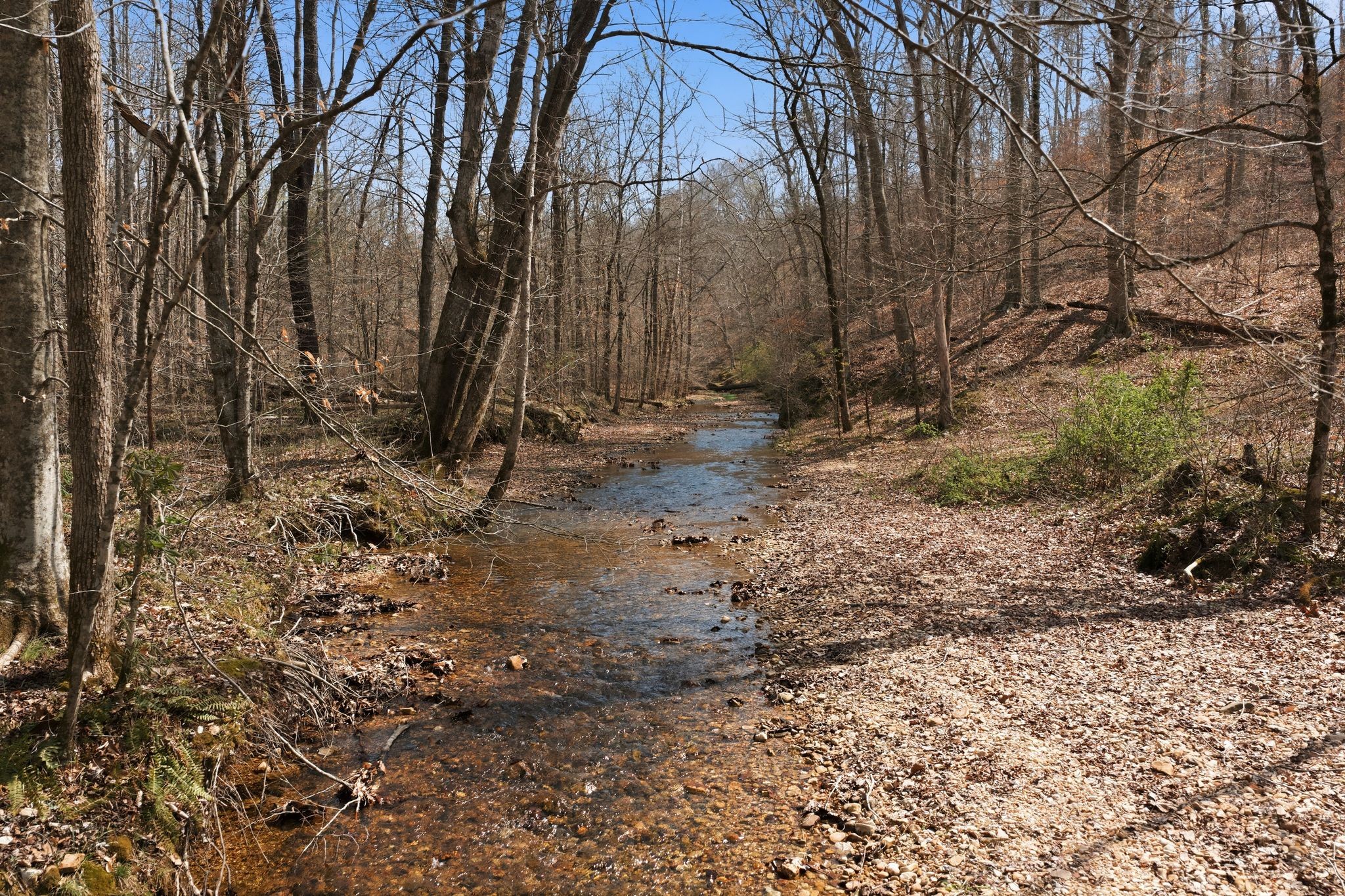 0 Cave Branch Road Dickson, TN 37055 - Photo 14 of 27