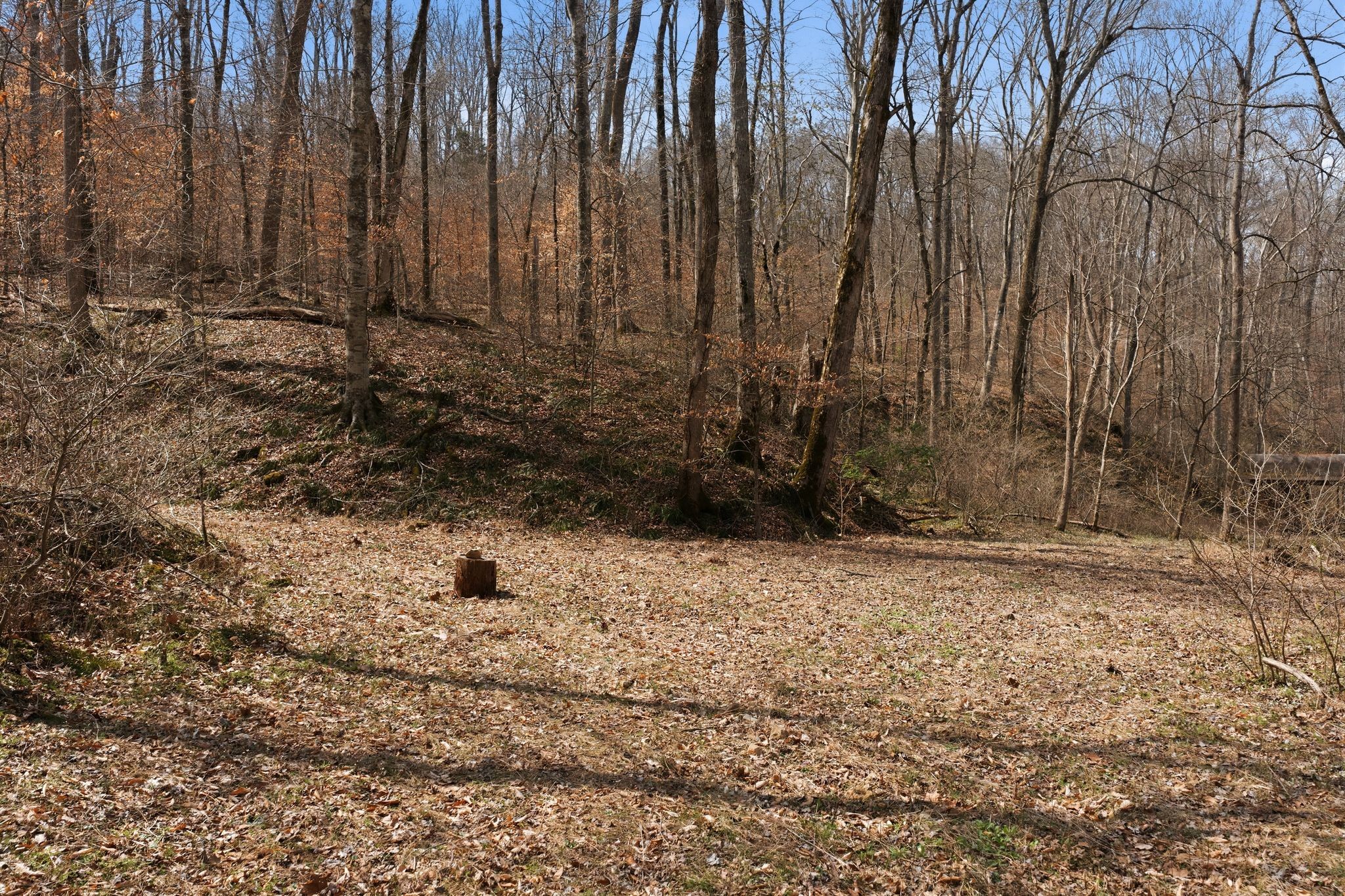 0 Cave Branch Road Dickson, TN 37055 - Photo 15 of 27