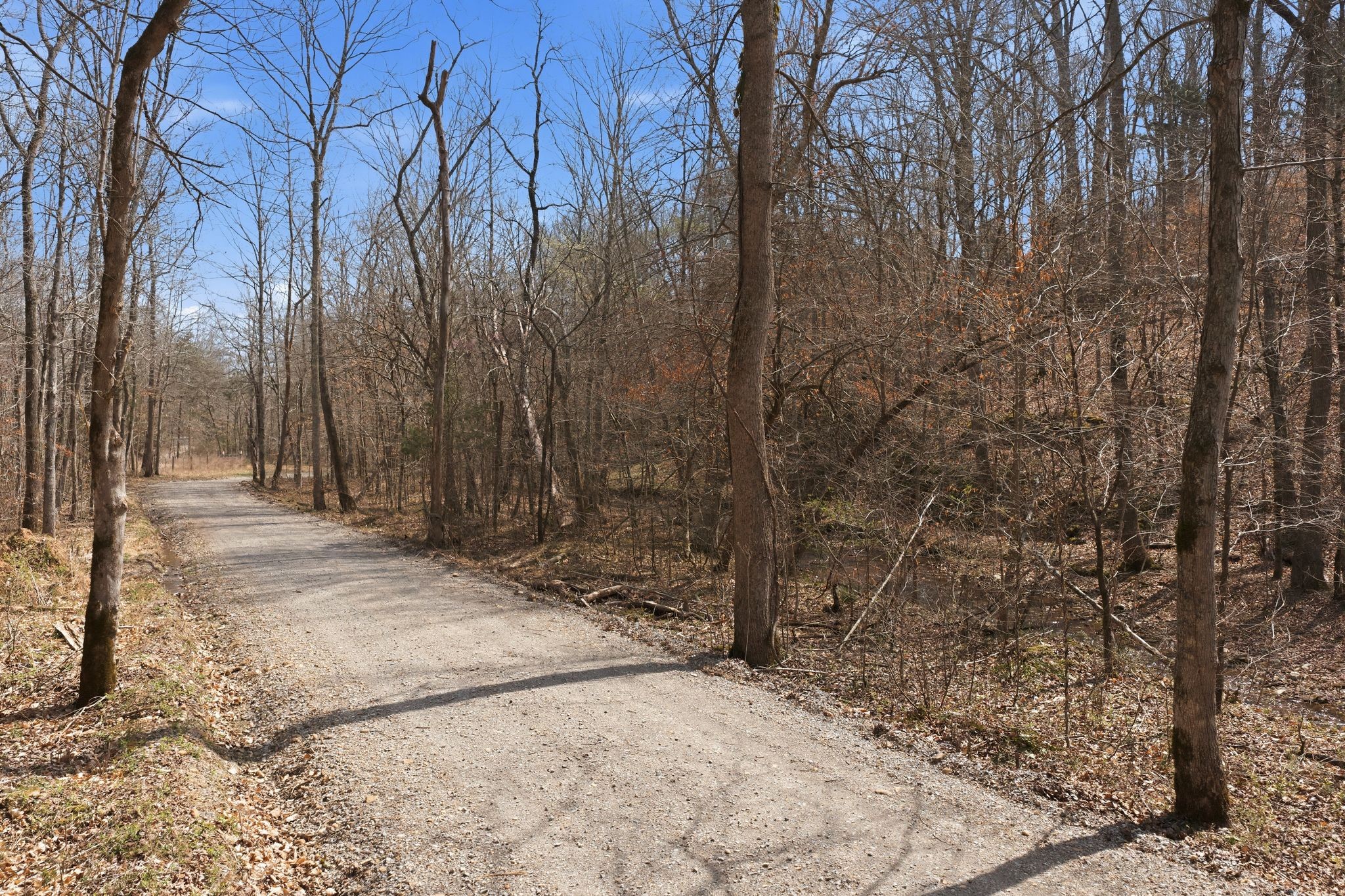 0 Cave Branch Road Dickson, TN 37055 - Photo 16 of 27