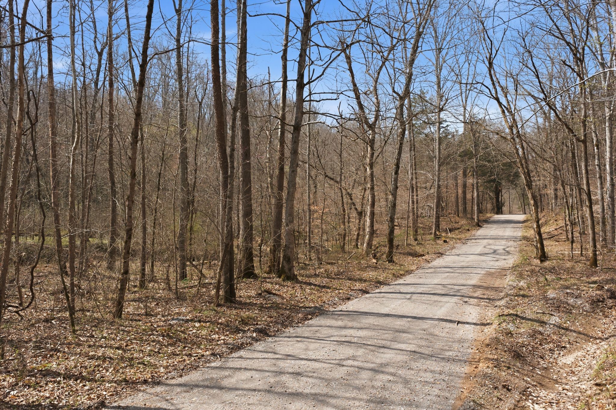 0 Cave Branch Road Dickson, TN 37055 - Photo 17 of 27