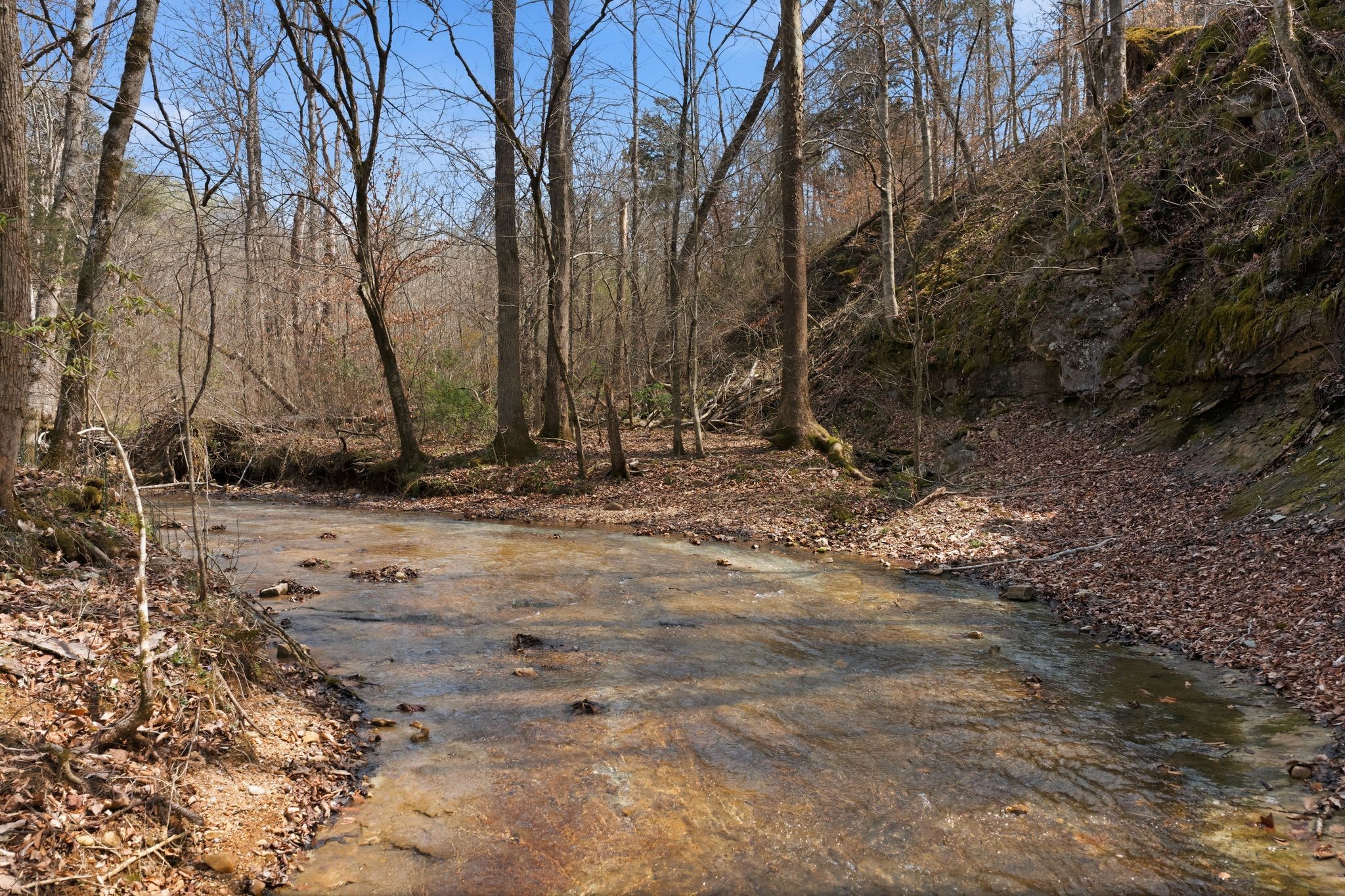 0 Cave Branch Road Dickson, TN 37055 - Photo 18 of 27