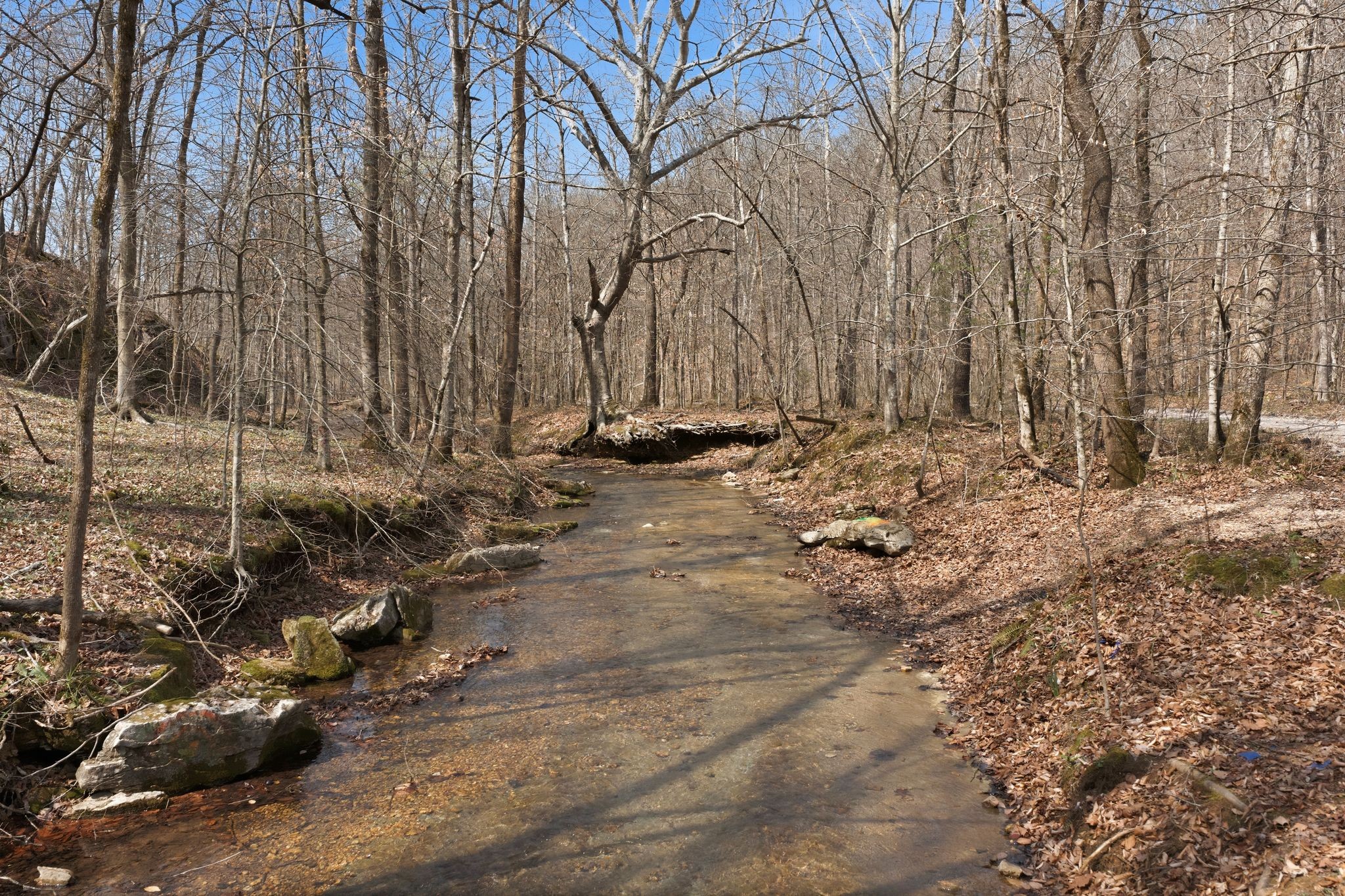 0 Cave Branch Road Dickson, TN 37055 - Photo 19 of 27