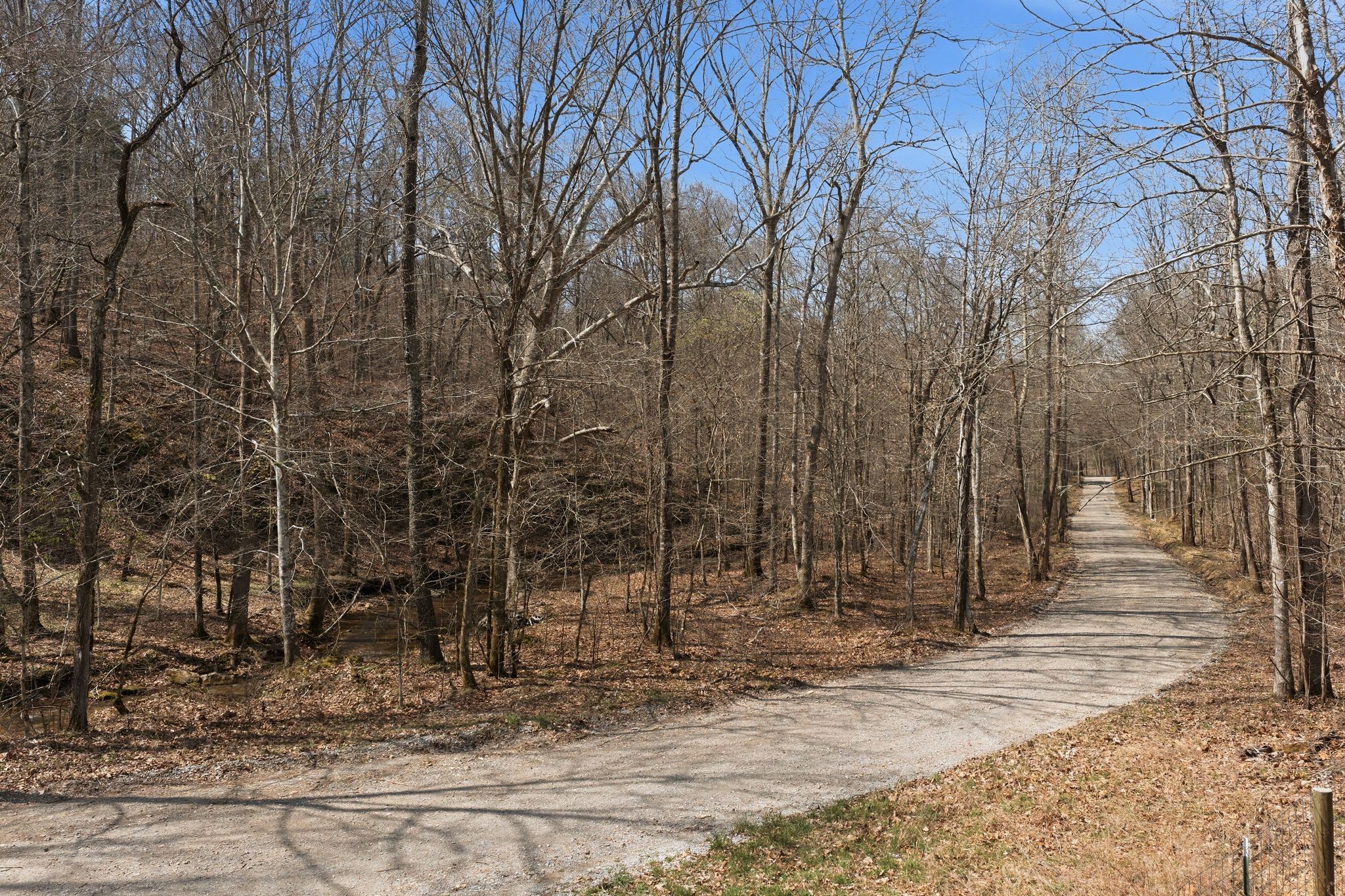 0 Cave Branch Road Dickson, TN 37055 - Photo 2 of 27