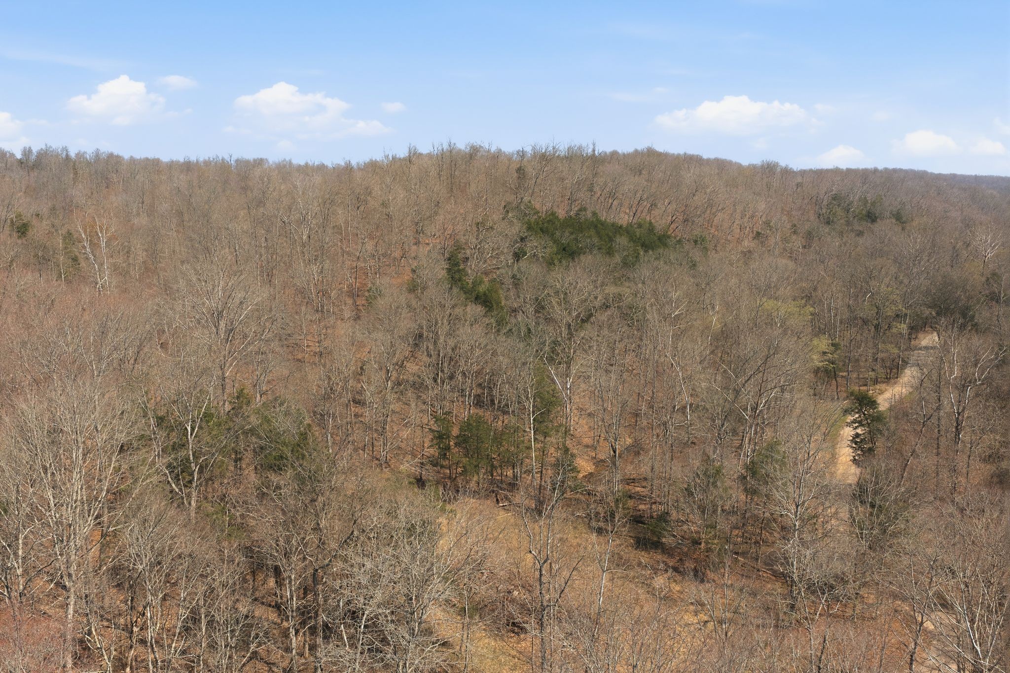 0 Cave Branch Road Dickson, TN 37055 - Photo 21 of 27