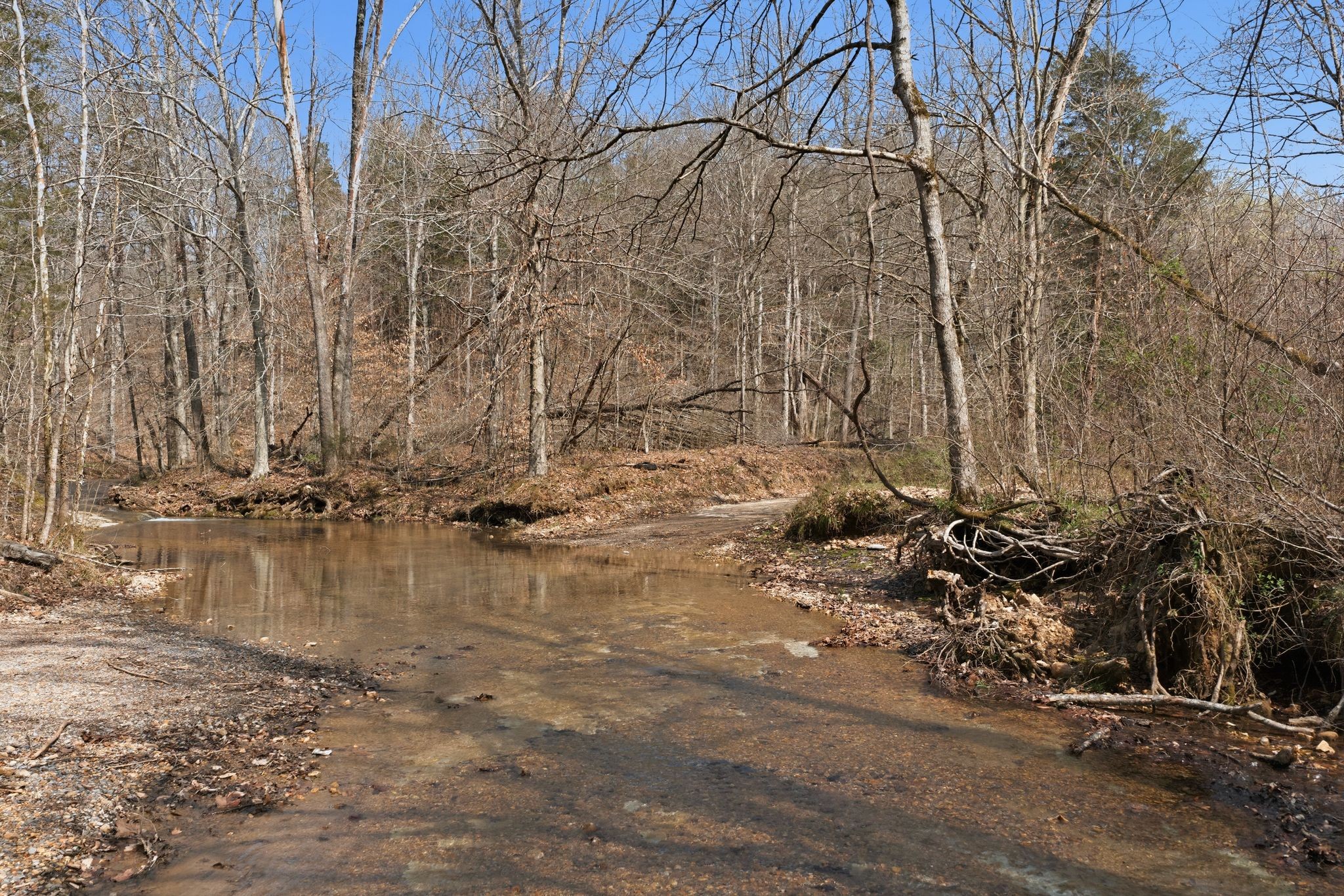 0 Cave Branch Road Dickson, TN 37055 - Photo 22 of 27