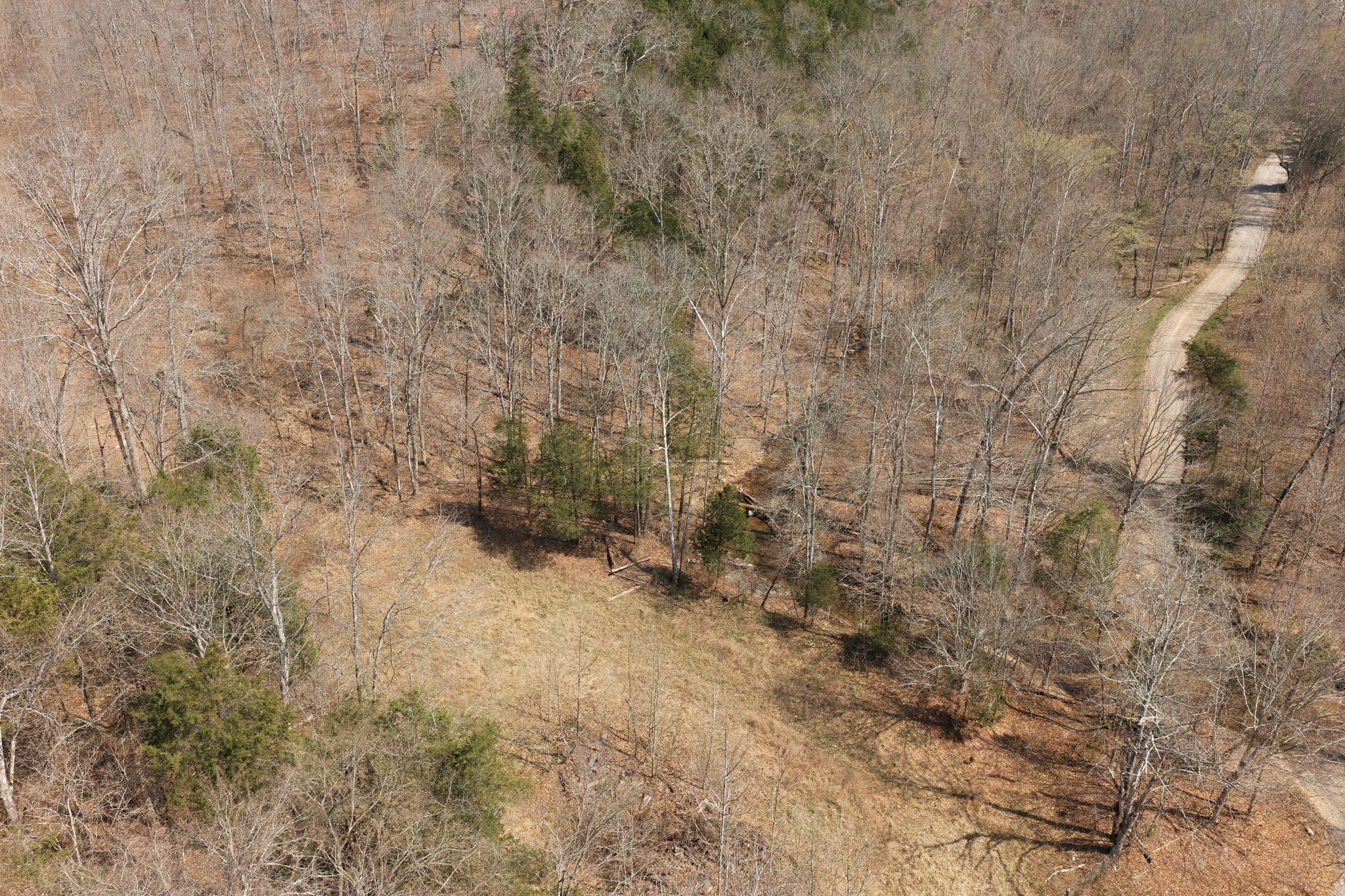0 Cave Branch Road Dickson, TN 37055 - Photo 23 of 27