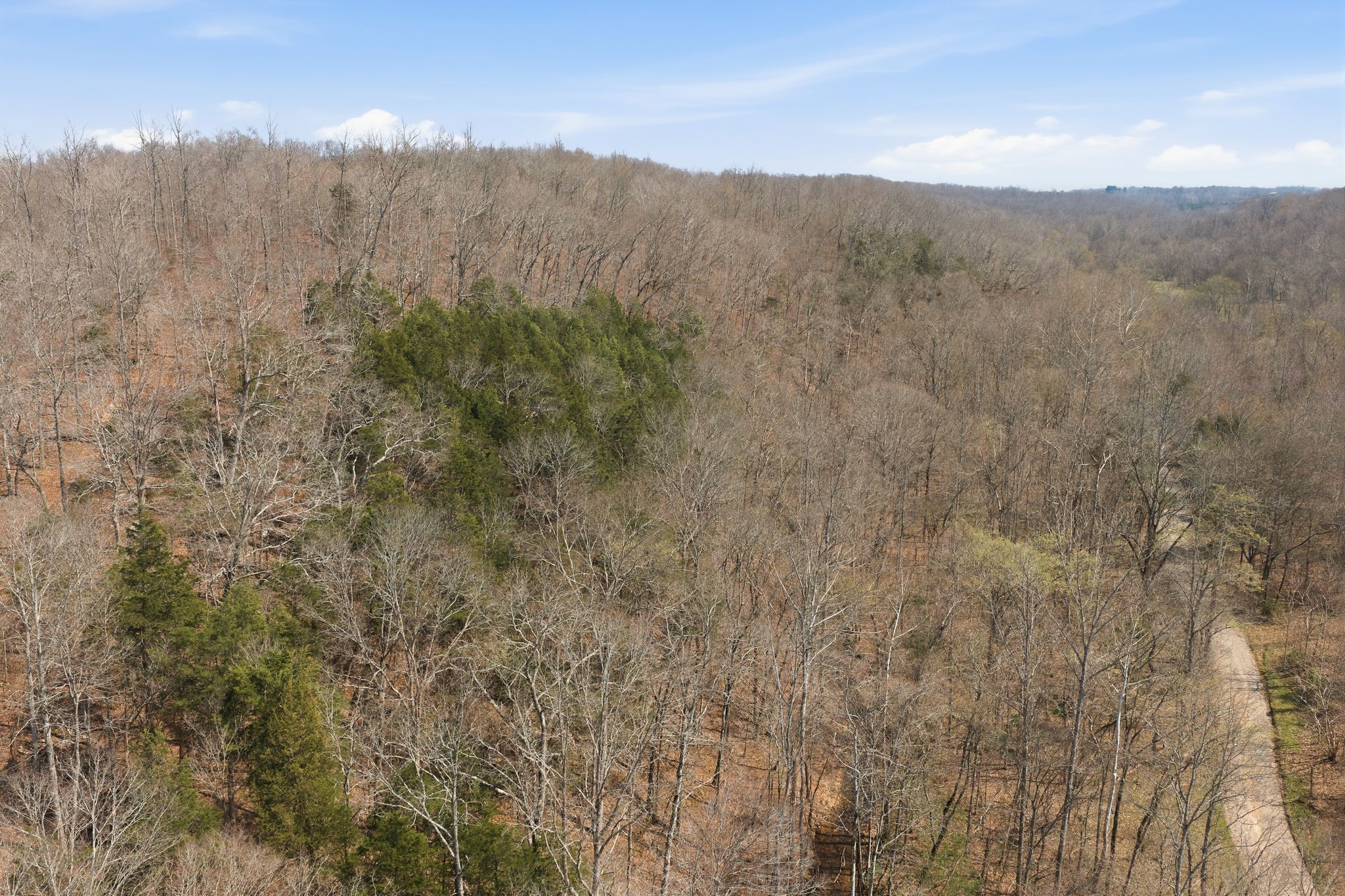 0 Cave Branch Road Dickson, TN 37055 - Photo 24 of 27