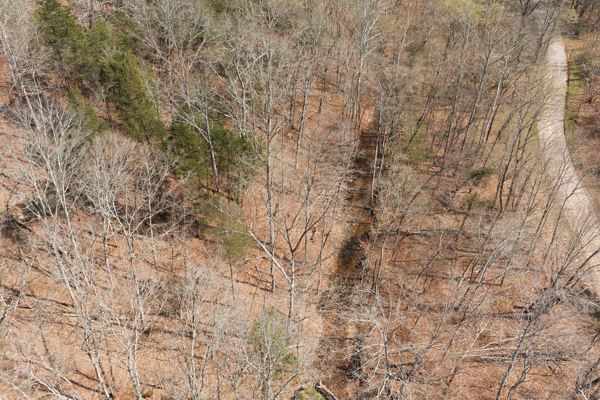 0 Cave Branch Road Dickson, TN 37055 - Photo 25 of 27