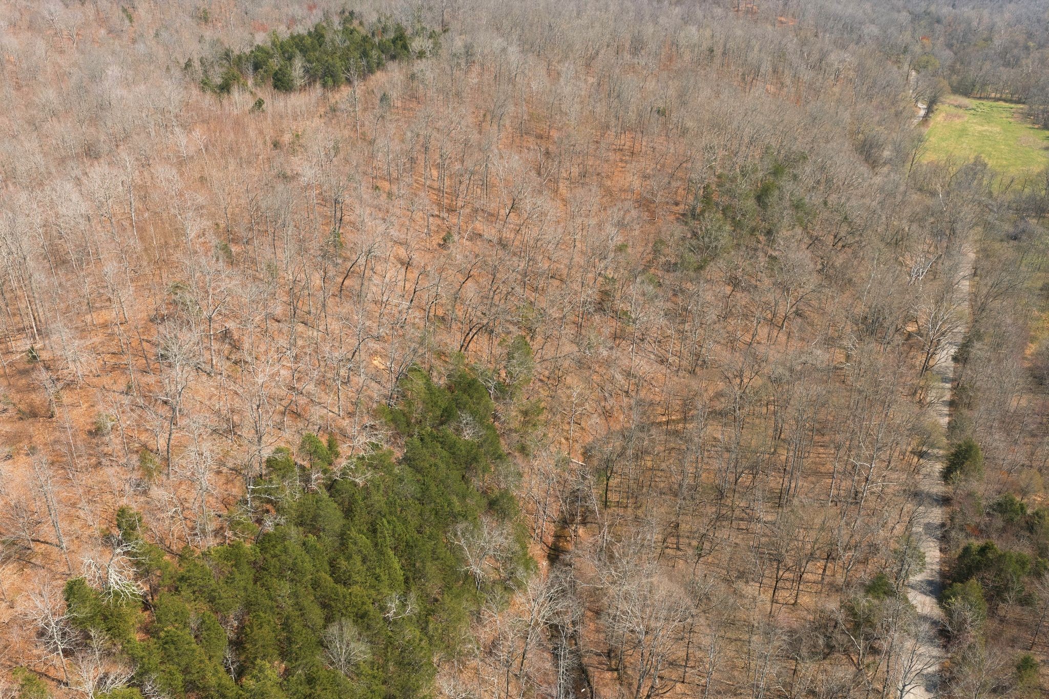 0 Cave Branch Road Dickson, TN 37055 - Photo 26 of 27