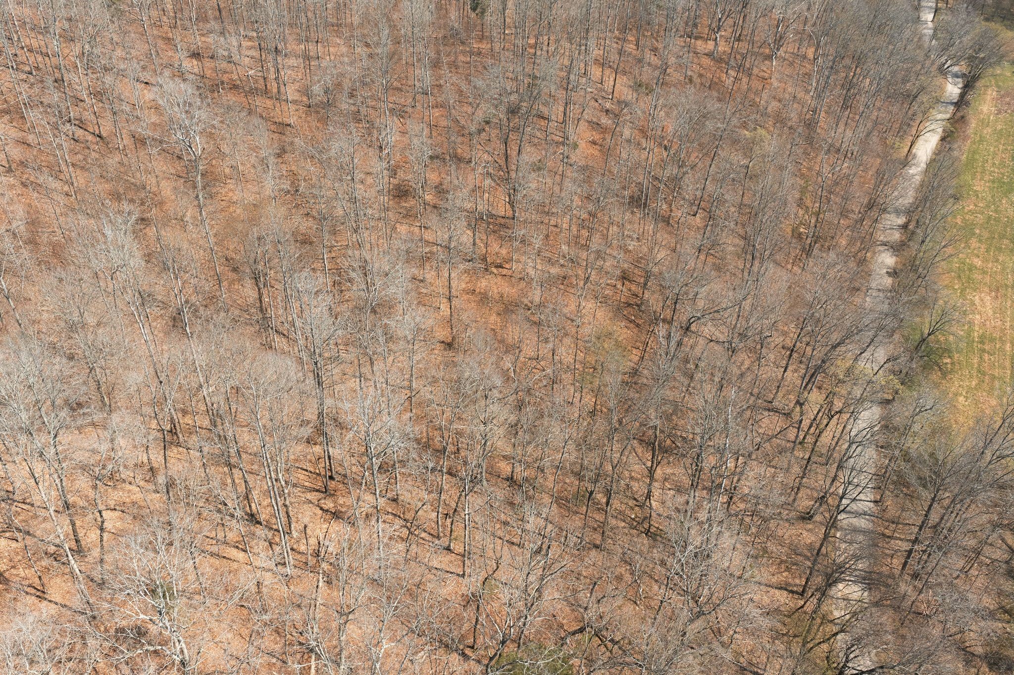 0 Cave Branch Road Dickson, TN 37055 - Photo 27 of 27