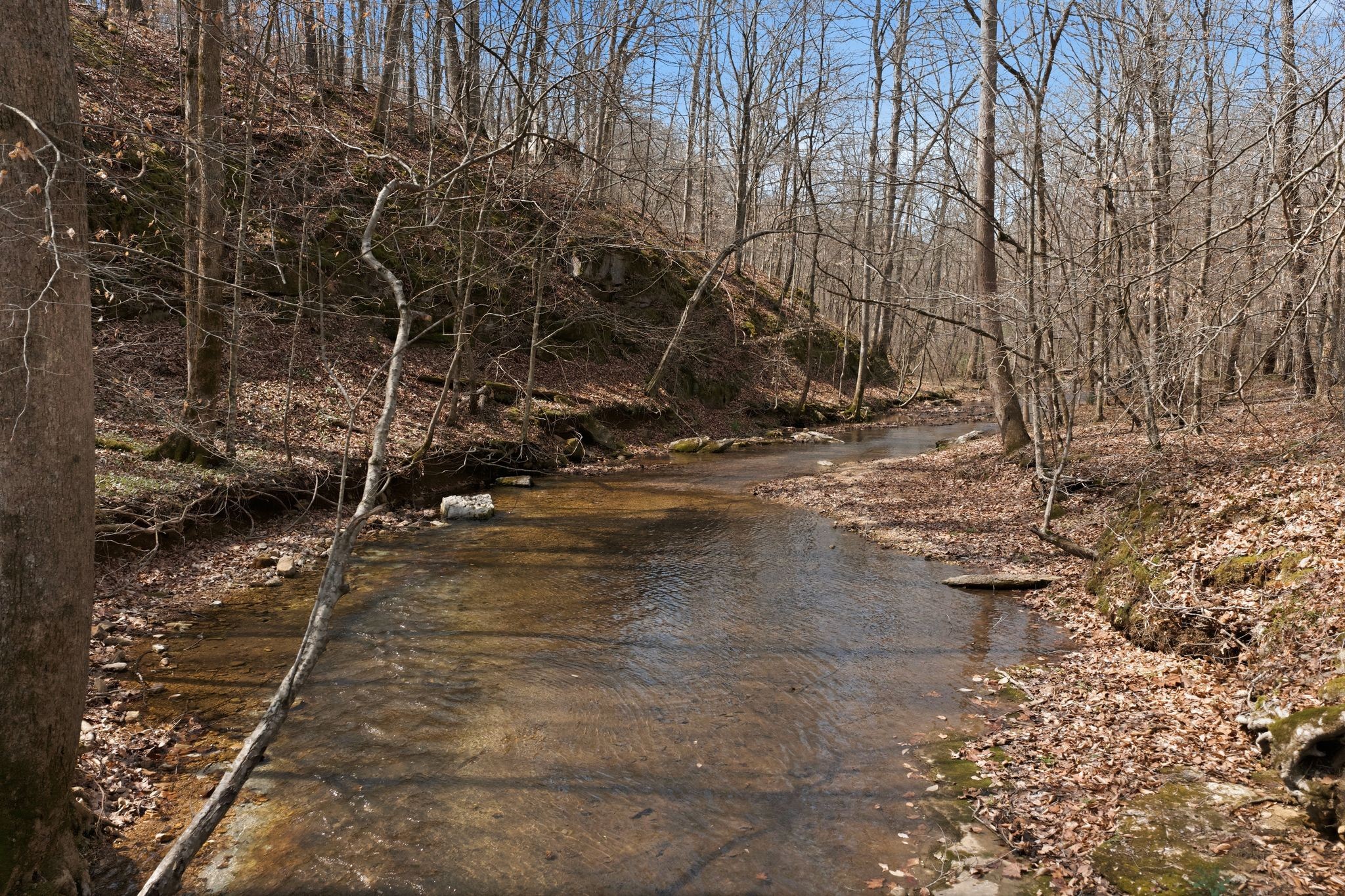 0 Cave Branch Road Dickson, TN 37055 - Photo 3 of 27