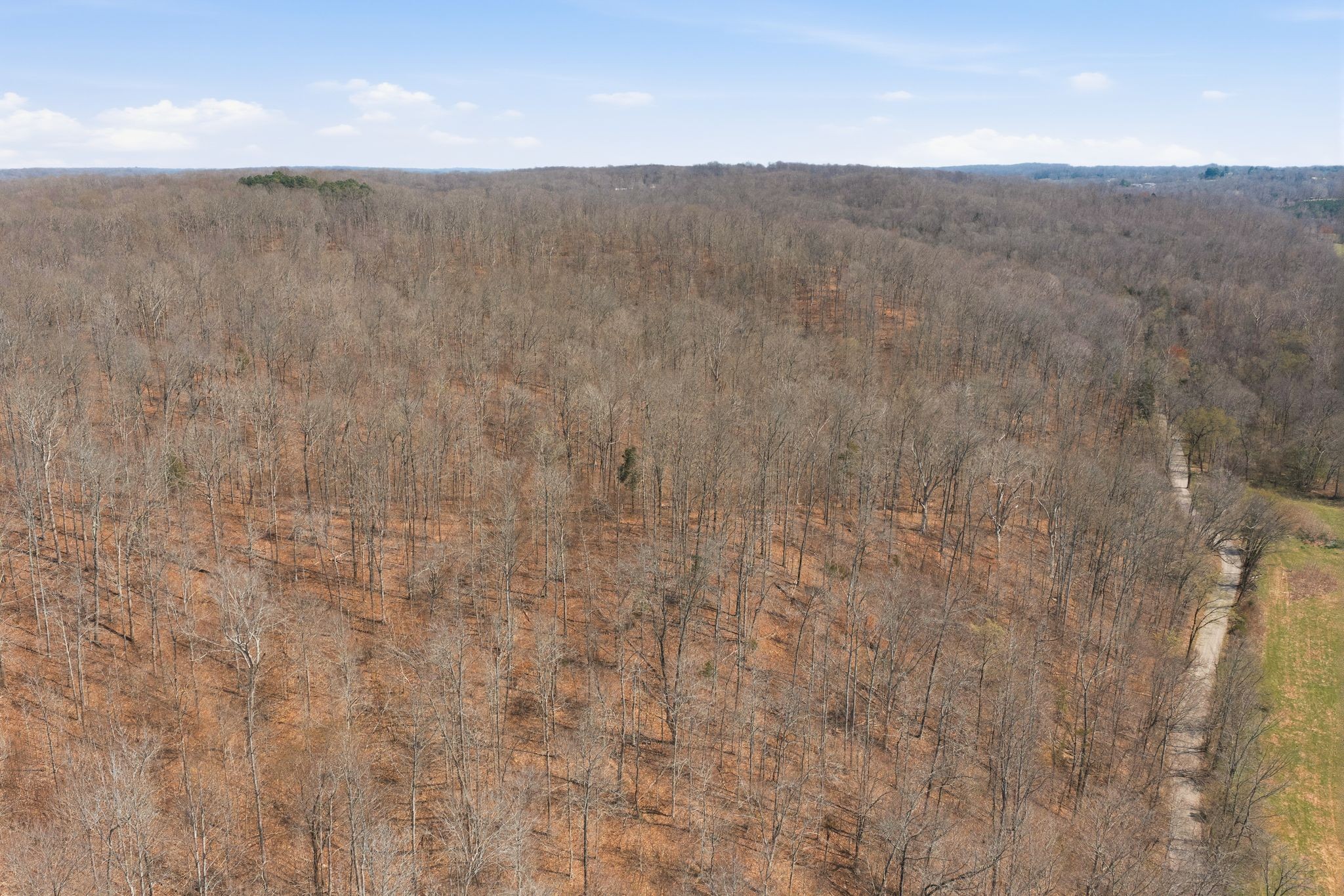 0 Cave Branch Road Dickson, TN 37055 - Photo 5 of 27