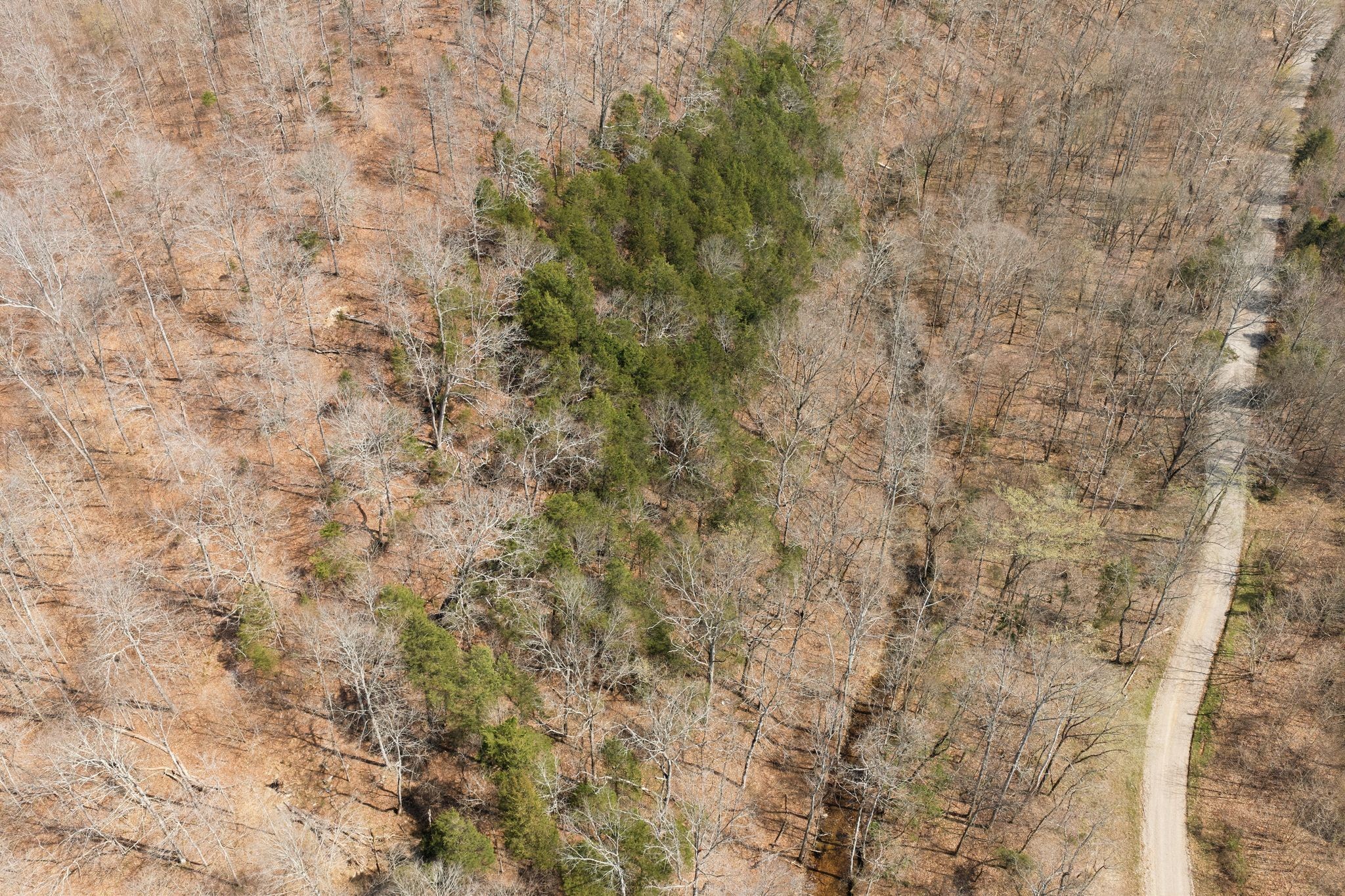 0 Cave Branch Road Dickson, TN 37055 - Photo 7 of 27