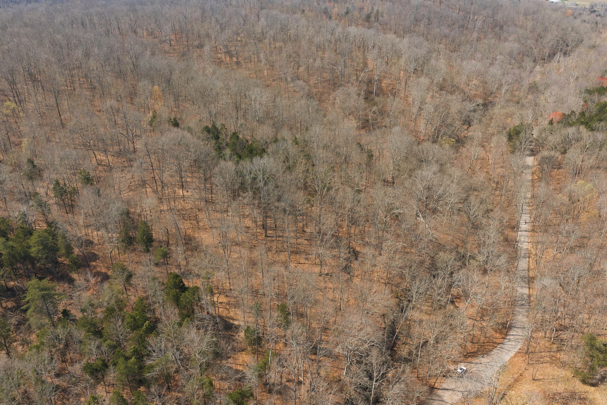 0 Cave Branch Road Dickson, TN 37055 - Photo 8 of 27