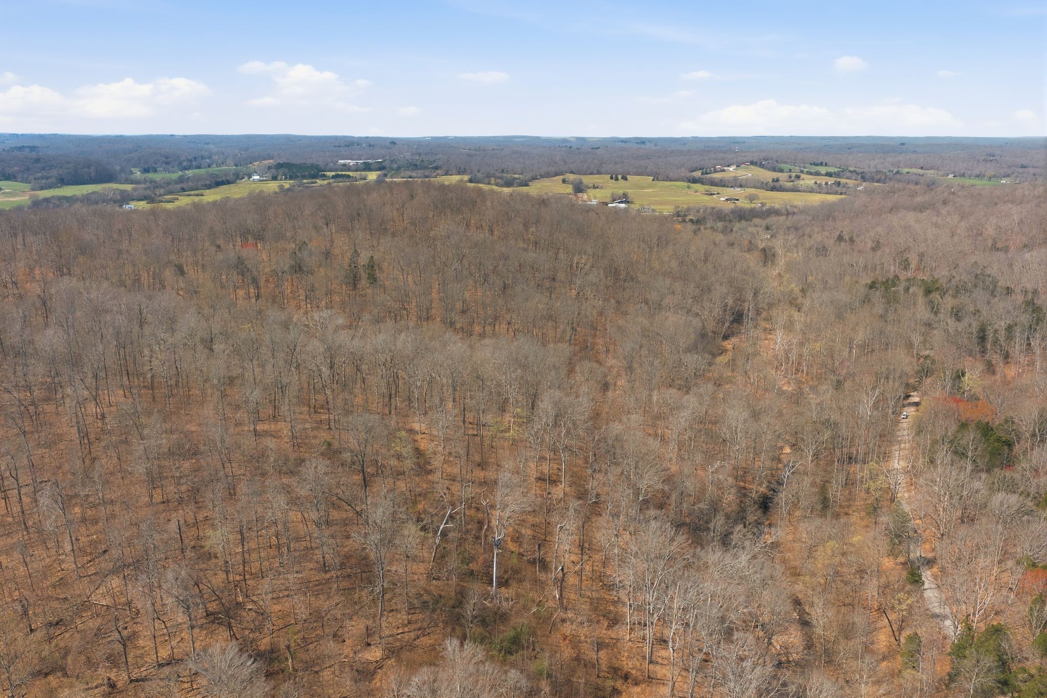 0 Cave Branch Road Dickson, TN 37055 - Photo 9 of 27