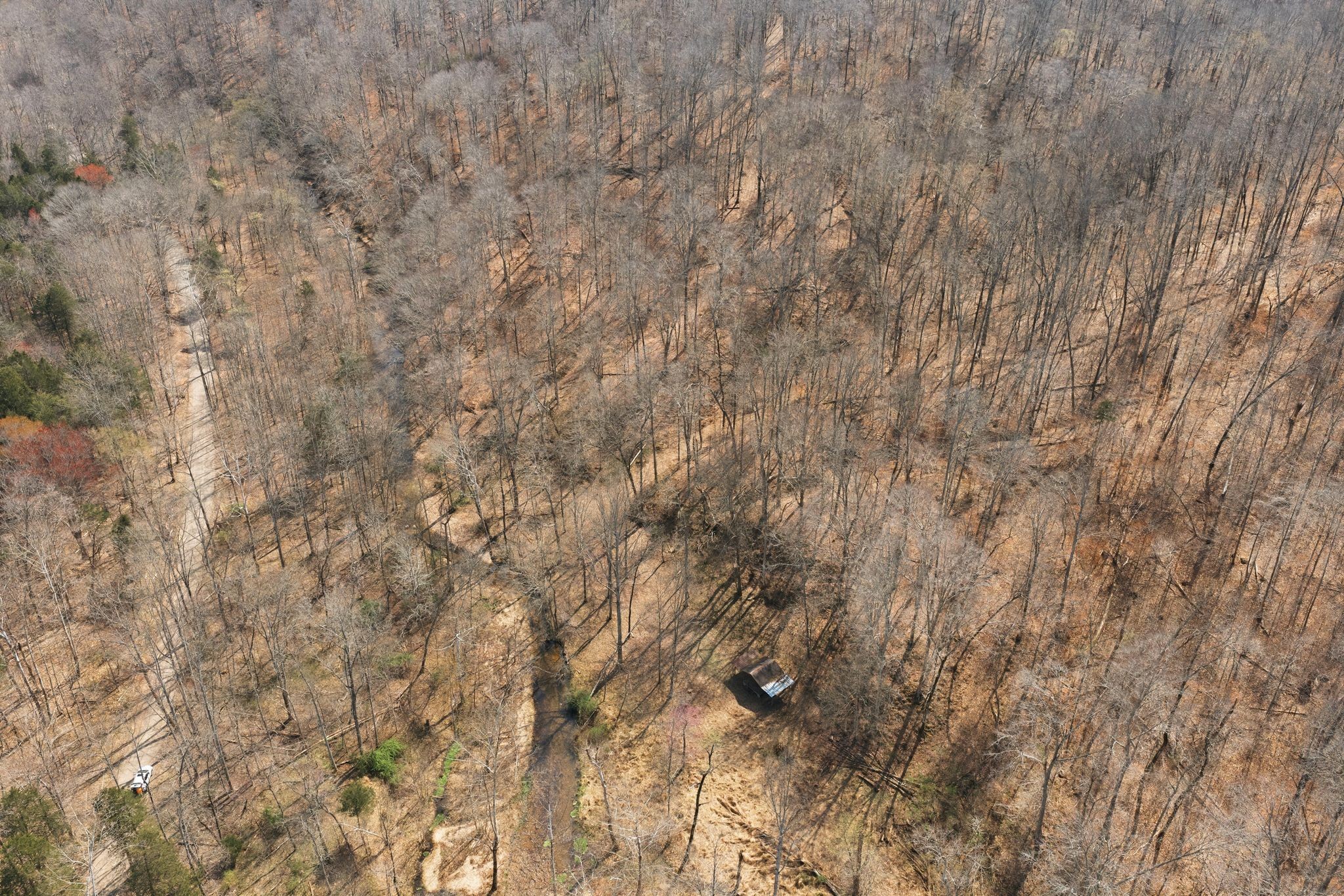 0 Cave Branch Road Dickson, TN 37055 - Photo 10 of 27