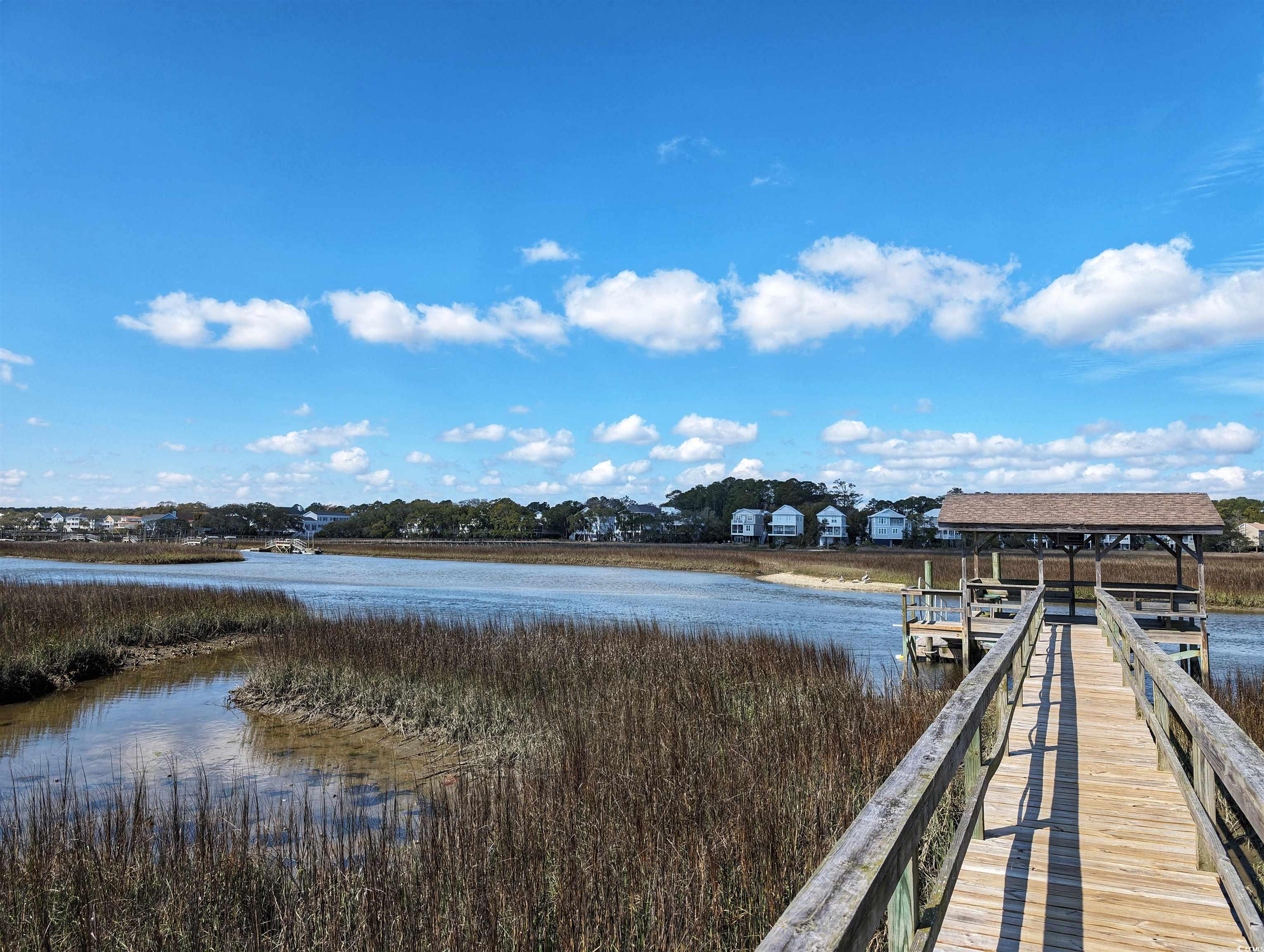16 Inlet Point Drive Pawleys Island, SC 29585 - Photo 11 of 40 Gallery Image 11