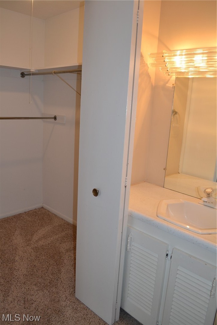 355 Solon Road, Unit 110 Chagrin Falls, OH 44022 - Photo 12 of 23 Gallery Image 12