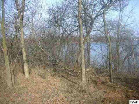 Knapp Road Brooklyn, MI 49230 - Photo 3 of 4 92223-2.JPG