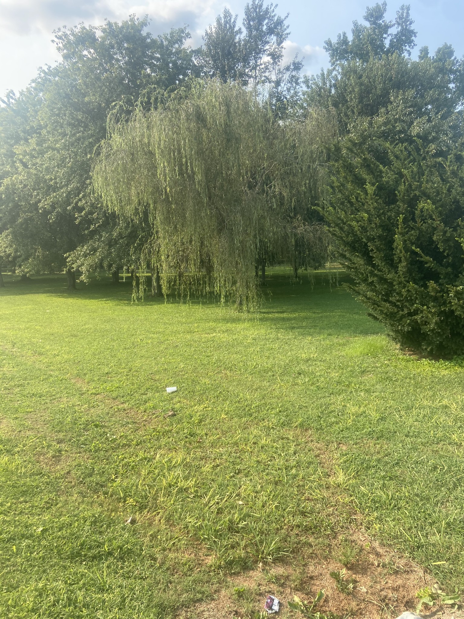 0 Howell Hill Road Kelso, TN 37348 - Photo 1 of 5