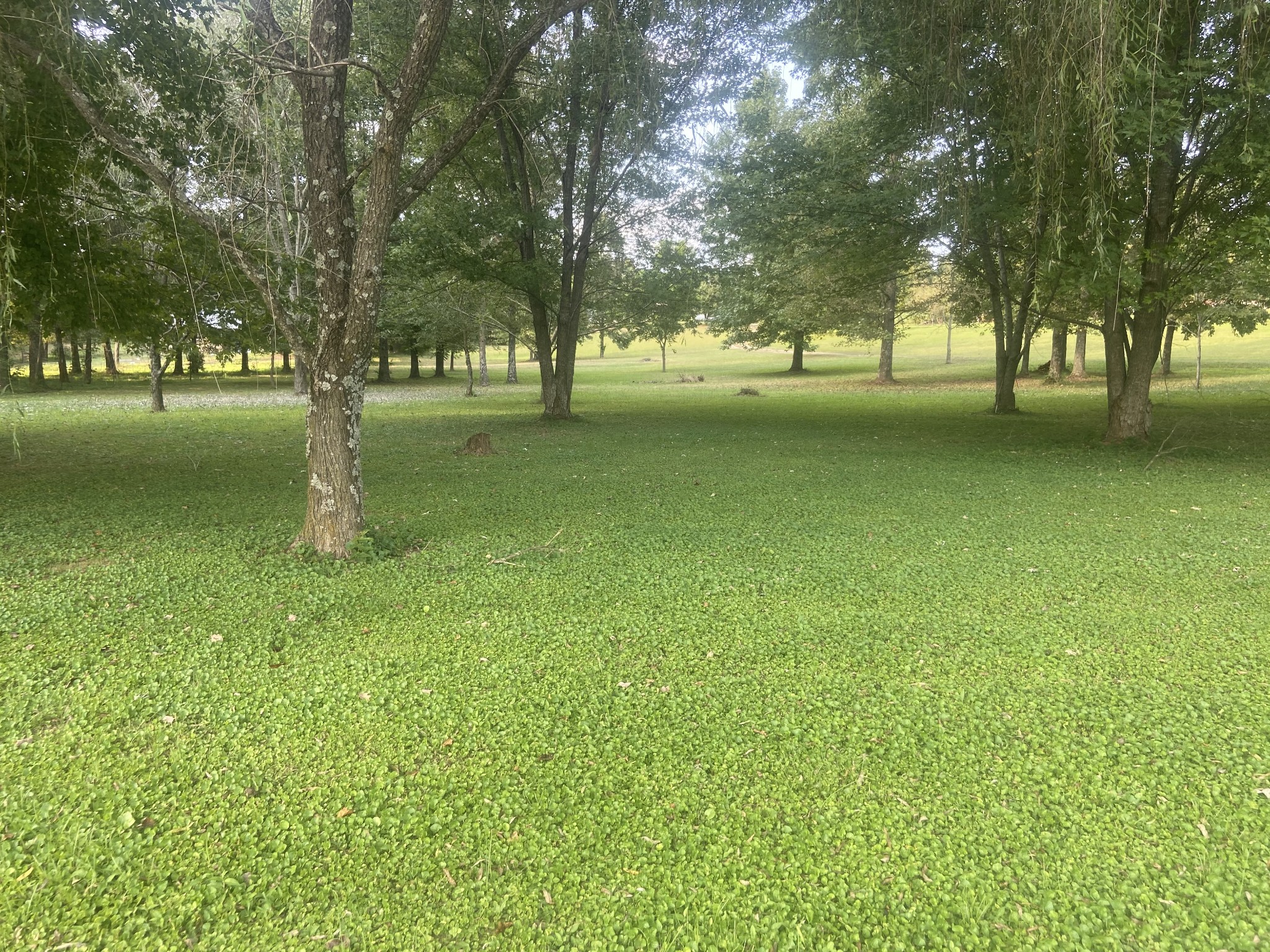 0 Howell Hill Road Kelso, TN 37348 - Photo 2 of 5
