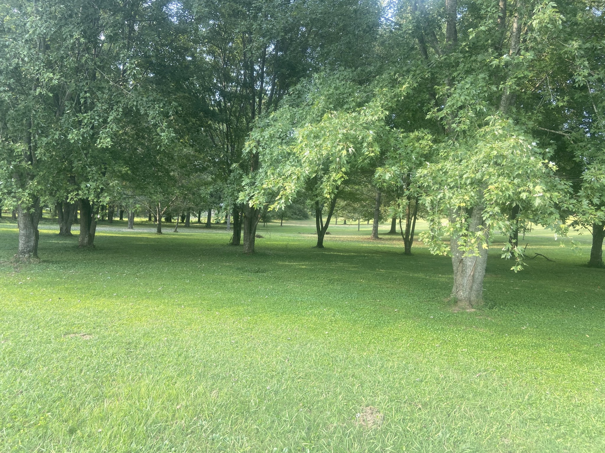 0 Howell Hill Road Kelso, TN 37348 - Photo 3 of 5
