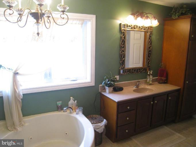 5551 Free State Road Marshall, VA 20115 - Photo 4 of 13 Master Bath