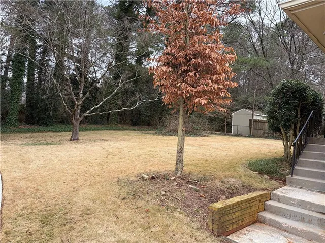 a view of a yard with a tree