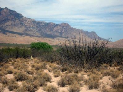 0 East Sulphur Canyon Road San Simon, AZ 85632 - Photo 5 of 8