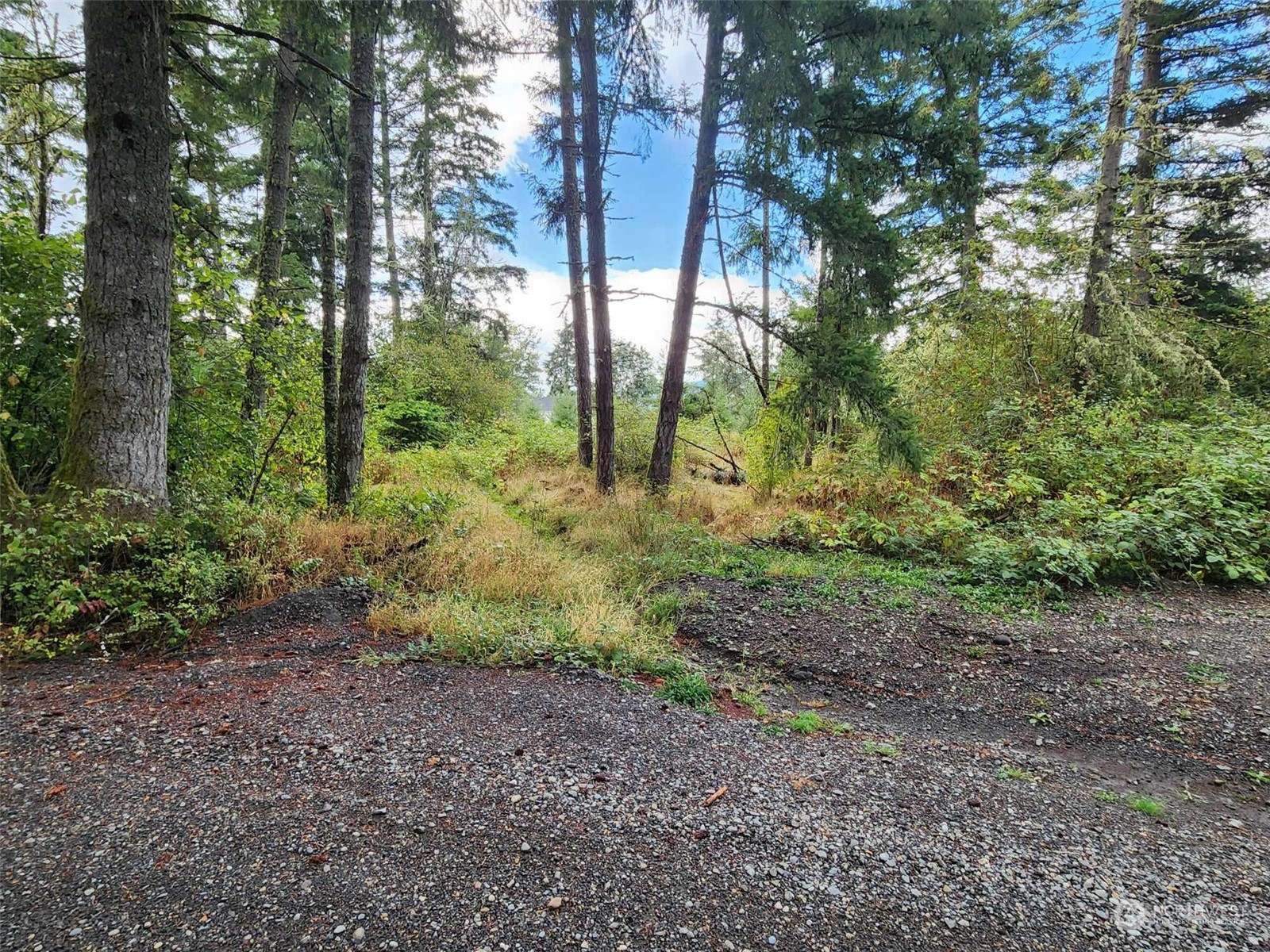 11736 Vail Cut Off Road Southeast Rainier, WA 98576 - Photo 1 of 8