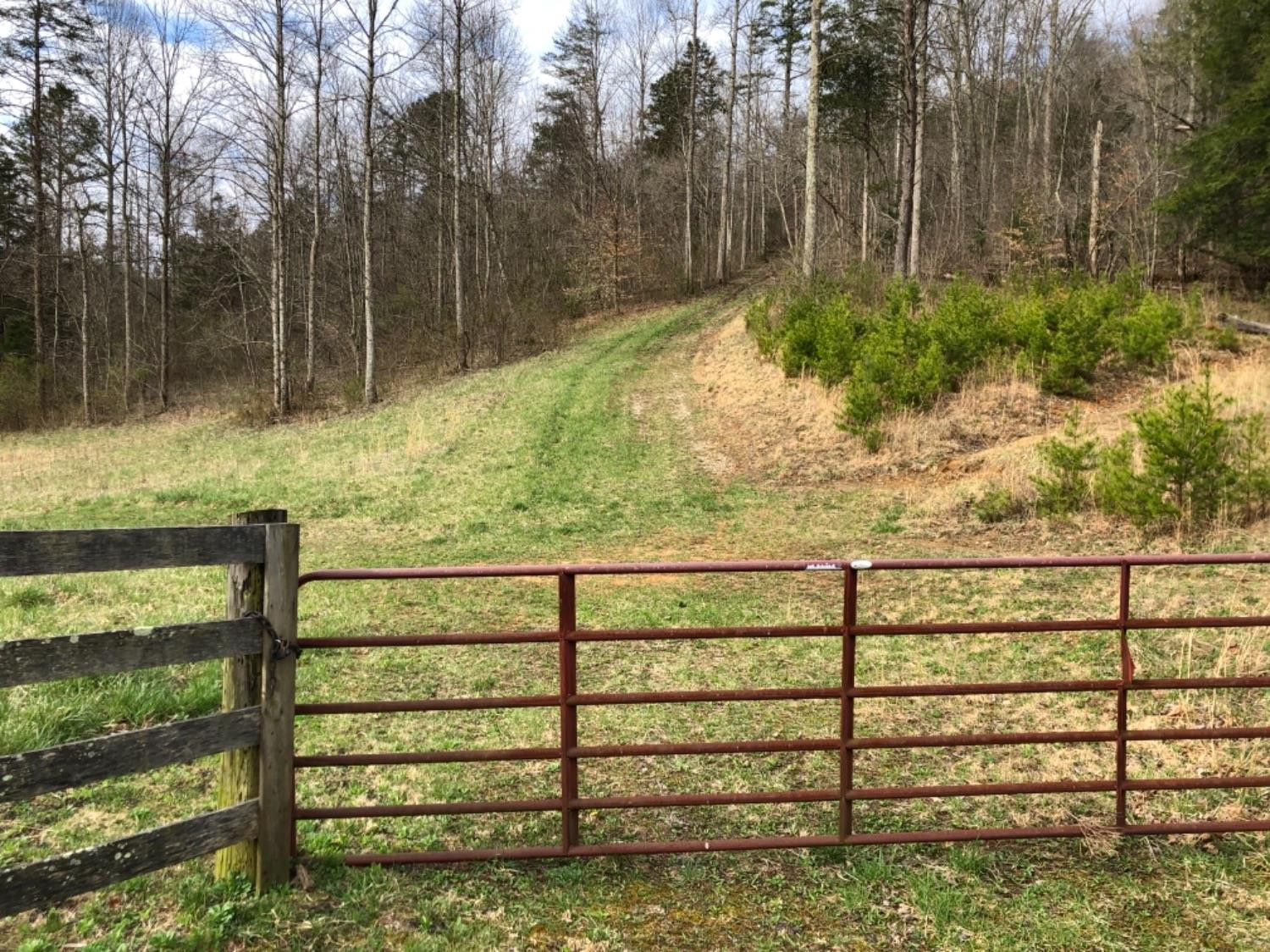 186 Viney Bottom Road McKee, KY 40447 - Photo 44 of 47 Listing Photo