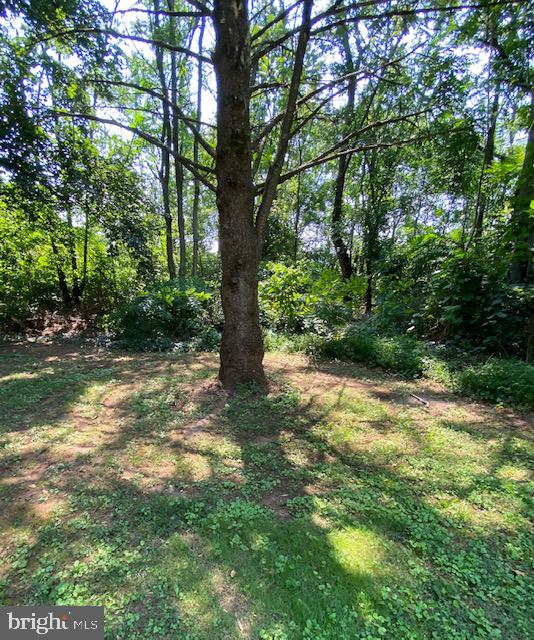 235 Allen Road Carlisle, PA 17013 - Photo 40 of 48 Backyard